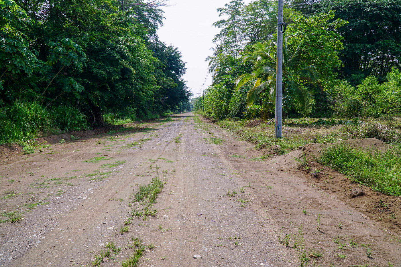 0 bed Land For Sale in Matapalo, Puntarenas - thumb 15