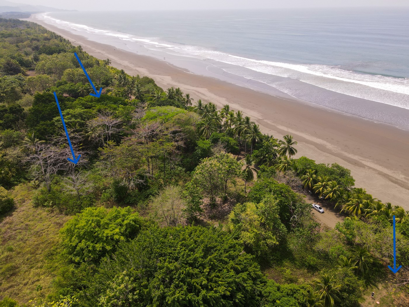 0 bed Land For Sale in Matapalo, Puntarenas - thumb 6