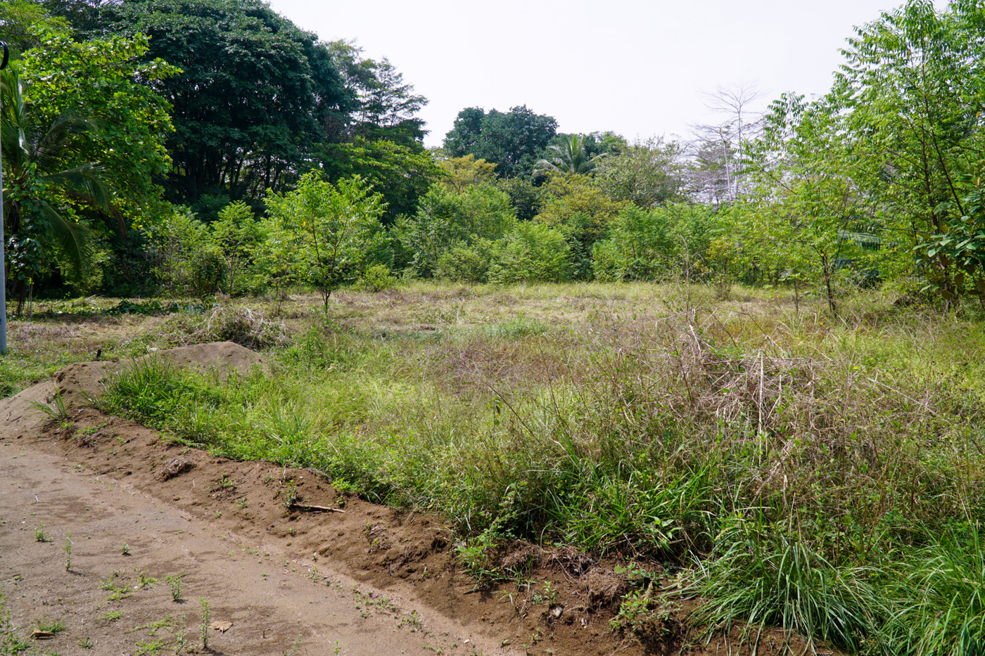 0 bed Land For Sale in Matapalo, Puntarenas - thumb 14