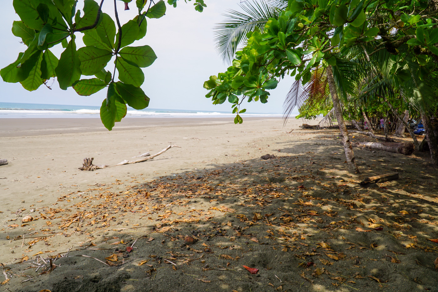 0 bed Land For Sale in Matapalo, Puntarenas - thumb 26