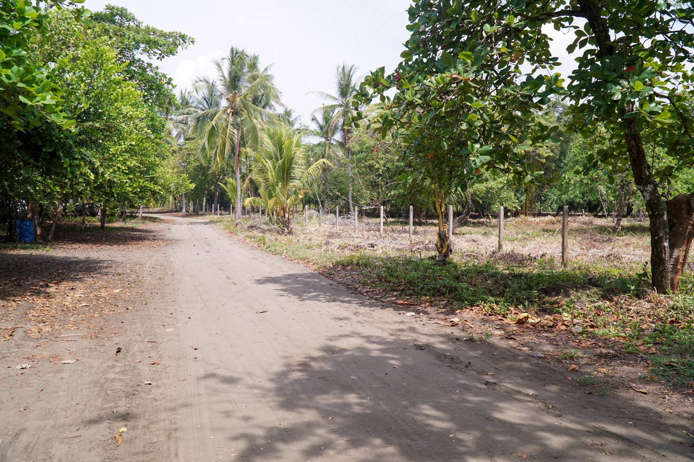 0 bed Land For Sale in Matapalo, Puntarenas - thumb 28