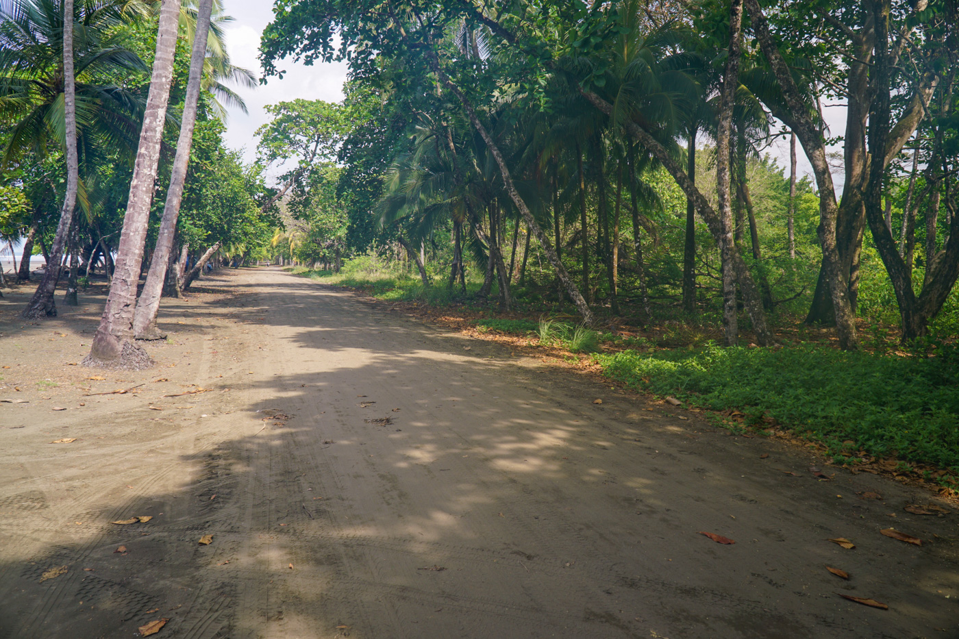 0 bed Land For Sale in Matapalo, Puntarenas - thumb 9