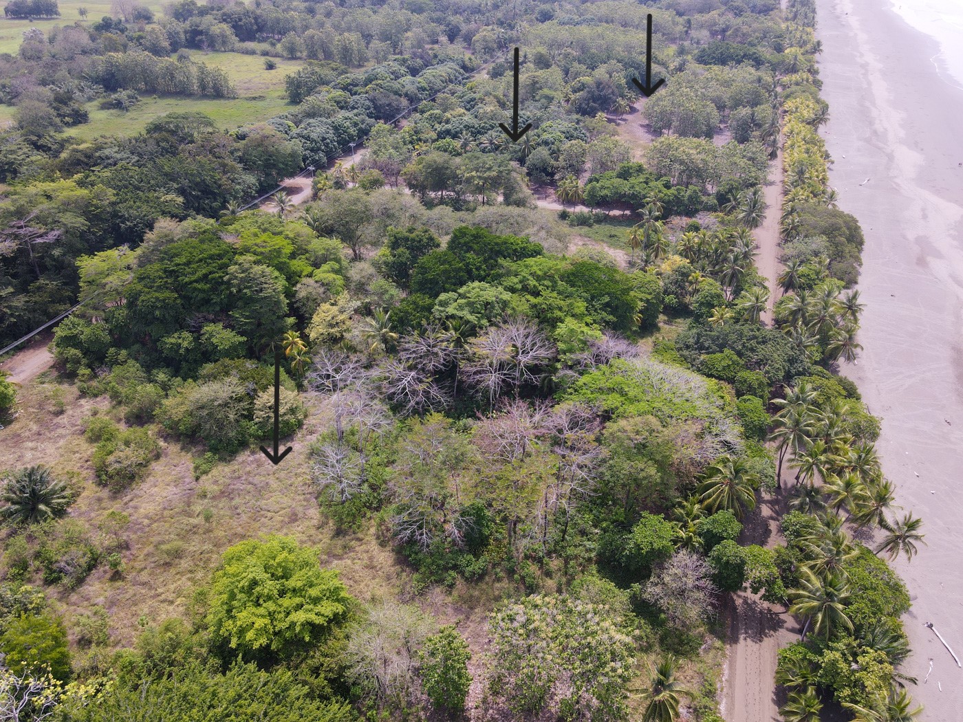 0 bed Land For Sale in Matapalo, Puntarenas - thumb 5