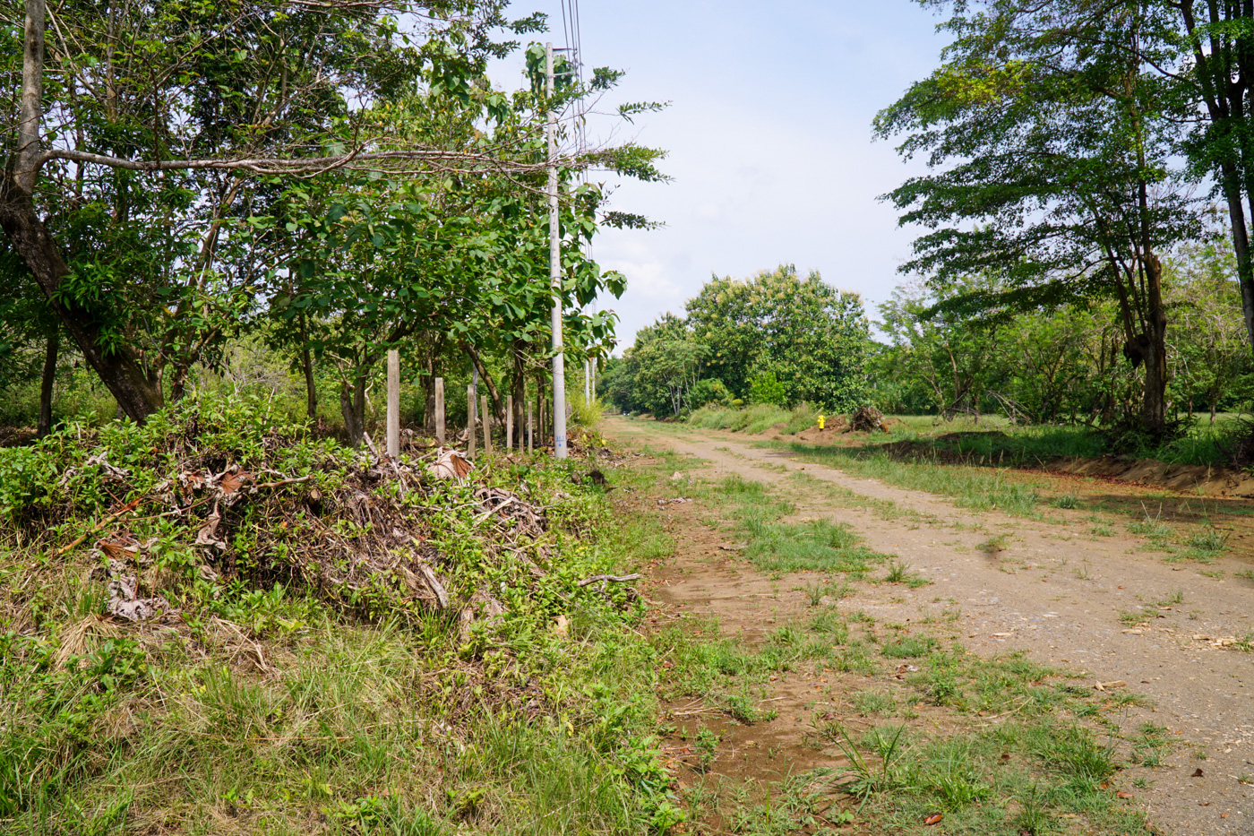 0 bed Land For Sale in Matapalo, Puntarenas - thumb 11