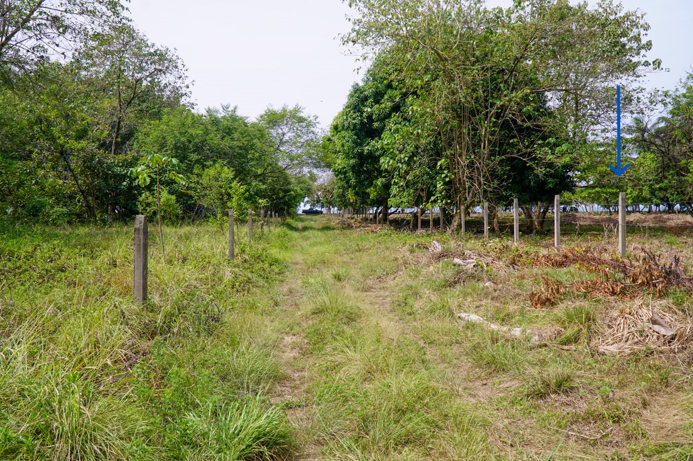 0 bed Land For Sale in Matapalo, Puntarenas - thumb 18