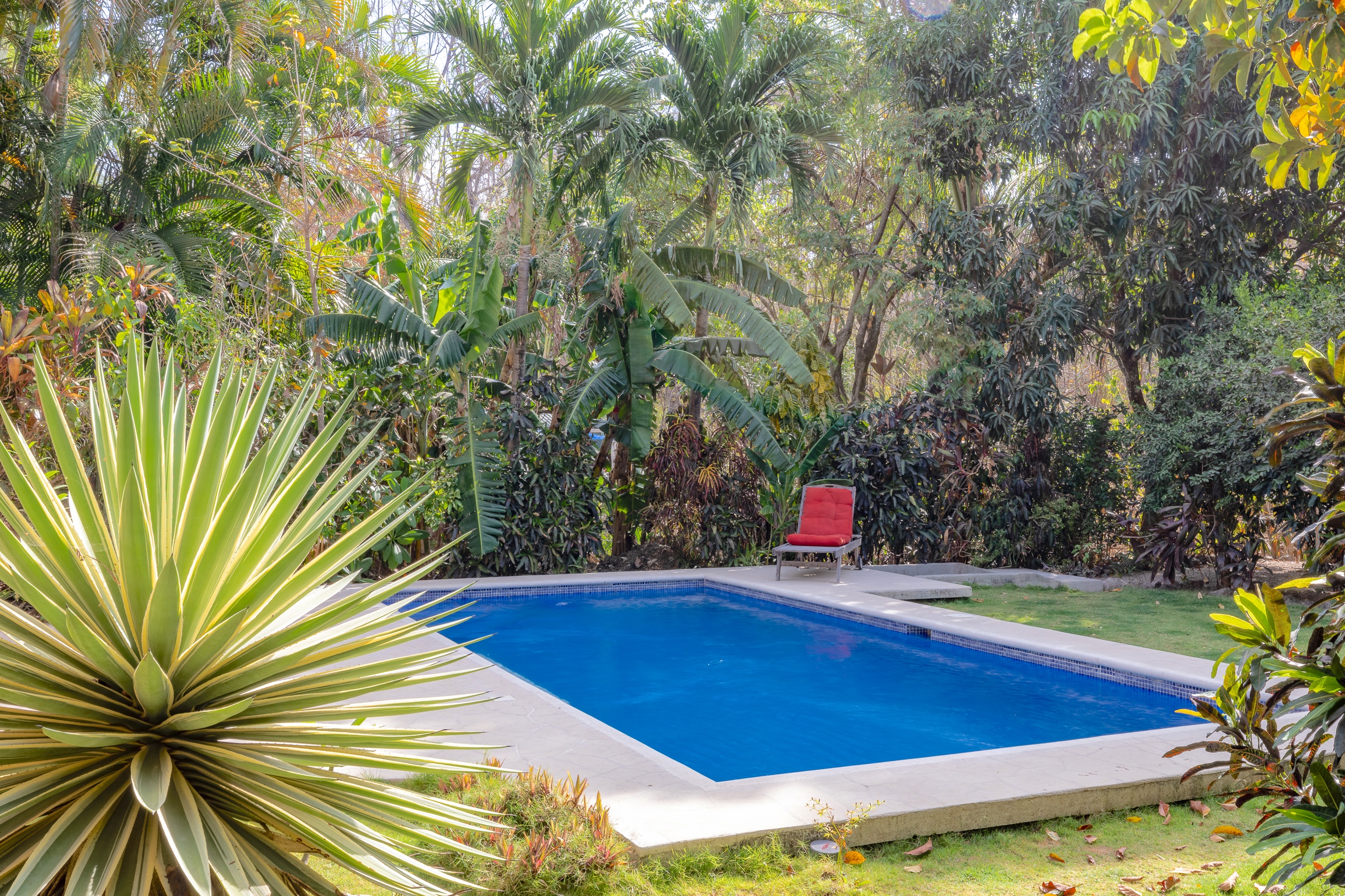 3 bed Single Family Homes For Sale in Nosara, Guanacaste - thumb 2