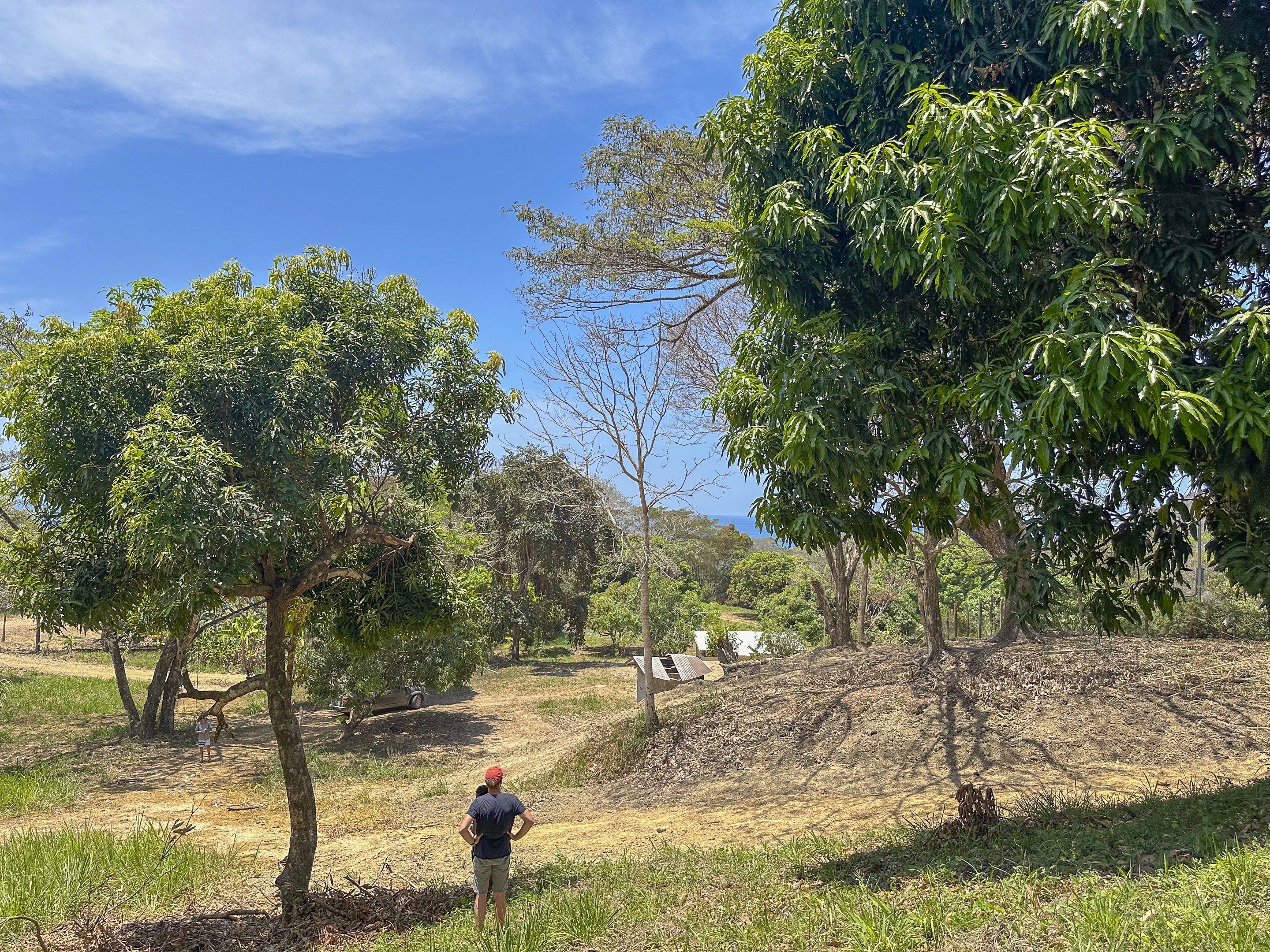 0 bed Land For Sale in Playa Hermosa Santa Teresa, Puntarenas - thumb 8