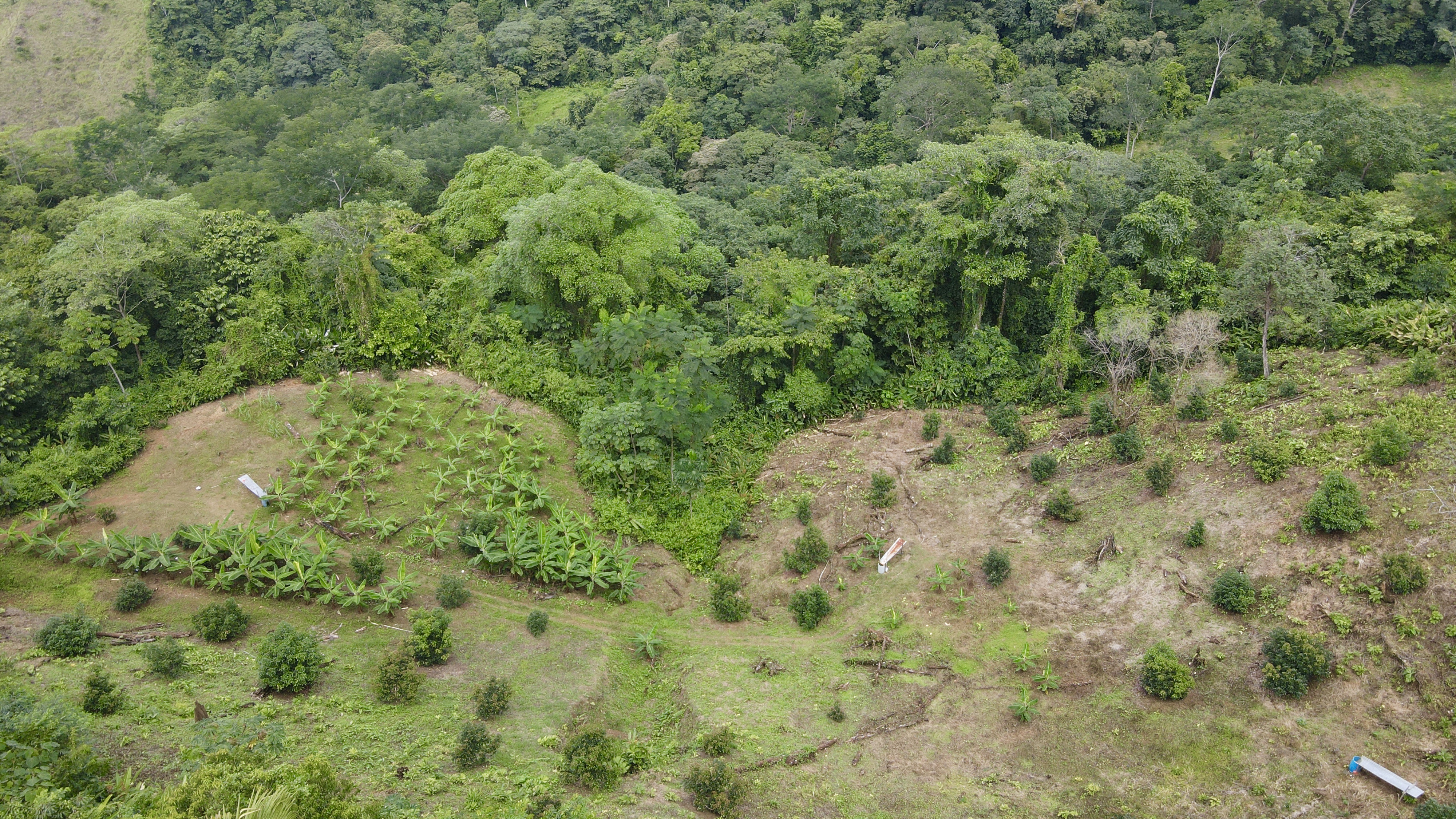 0 bed Land For Sale in Ciudad Cortes, Puntarenas - thumb 23