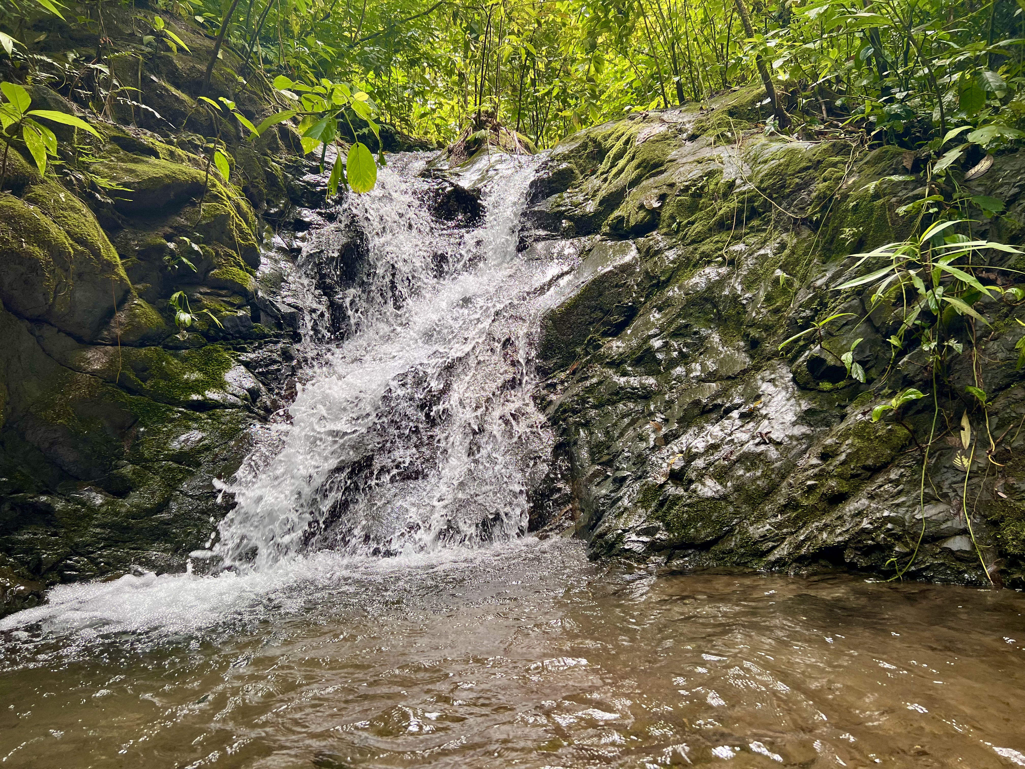 0 bed Land For Sale in Ciudad Cortes, Puntarenas - thumb 16