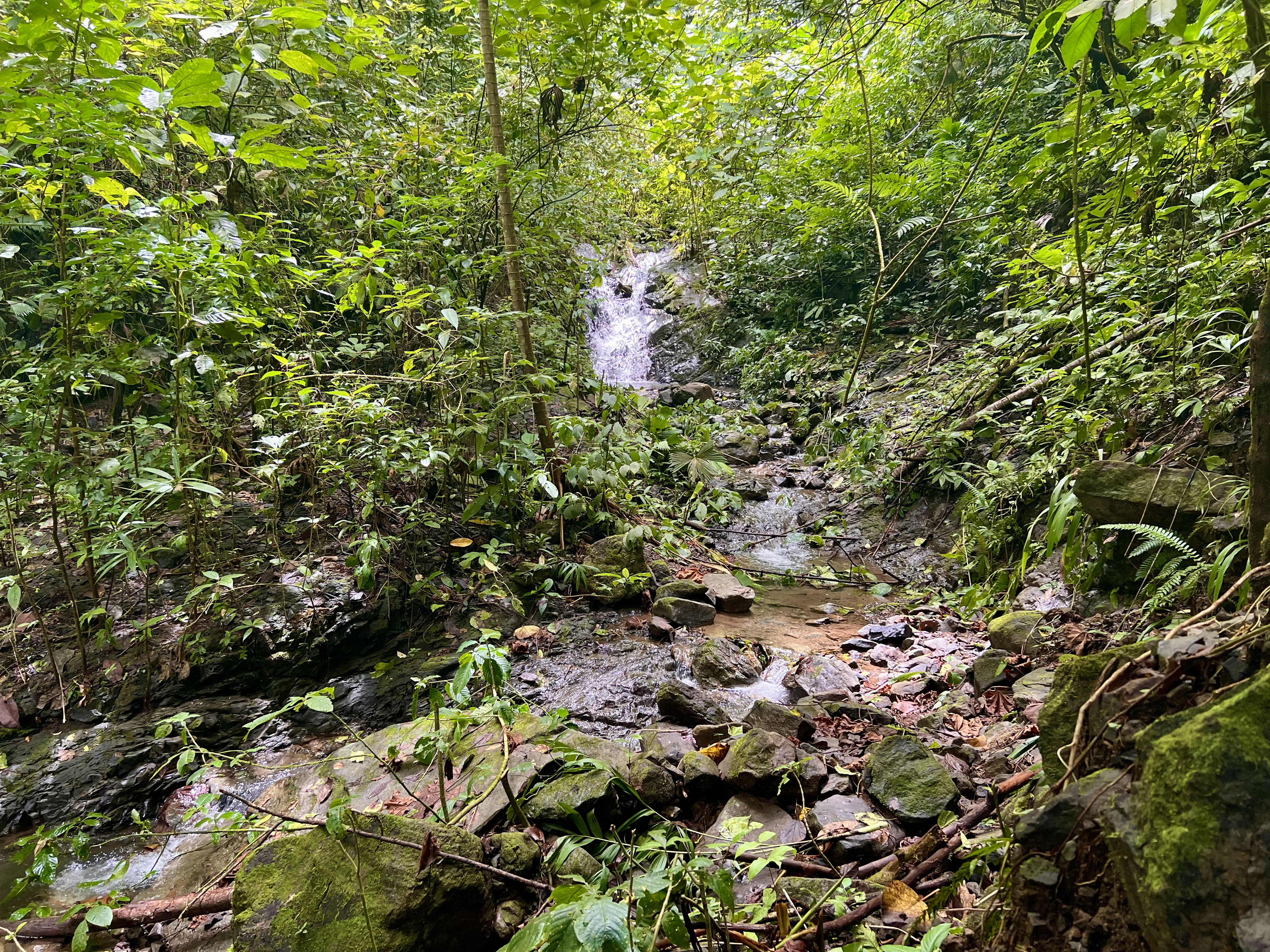 0 bed Land For Sale in Ciudad Cortes, Puntarenas - thumb 15