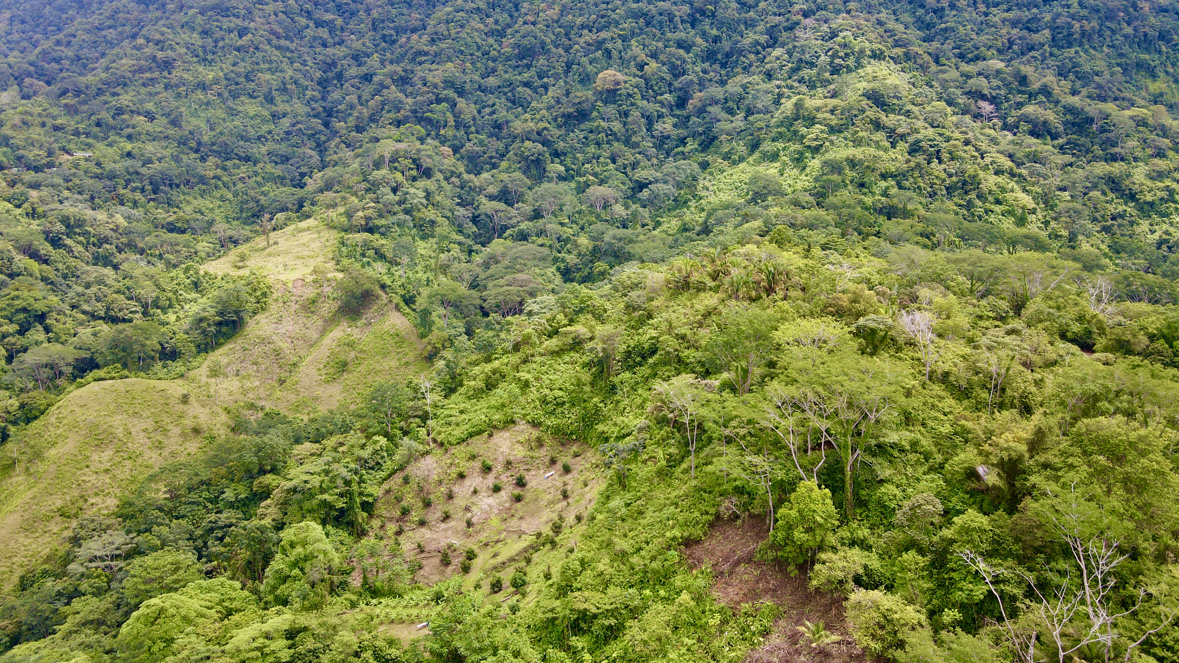 0 bed Land For Sale in Ciudad Cortes, Puntarenas - thumb 20