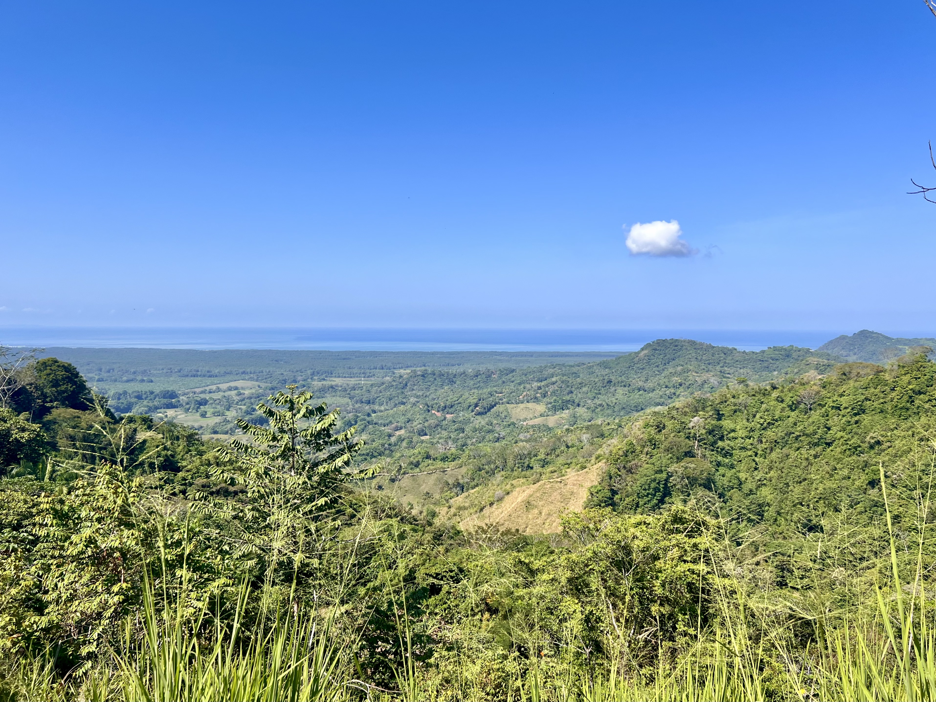 0 bed Land For Sale in Ciudad Cortes, Puntarenas - thumb 2