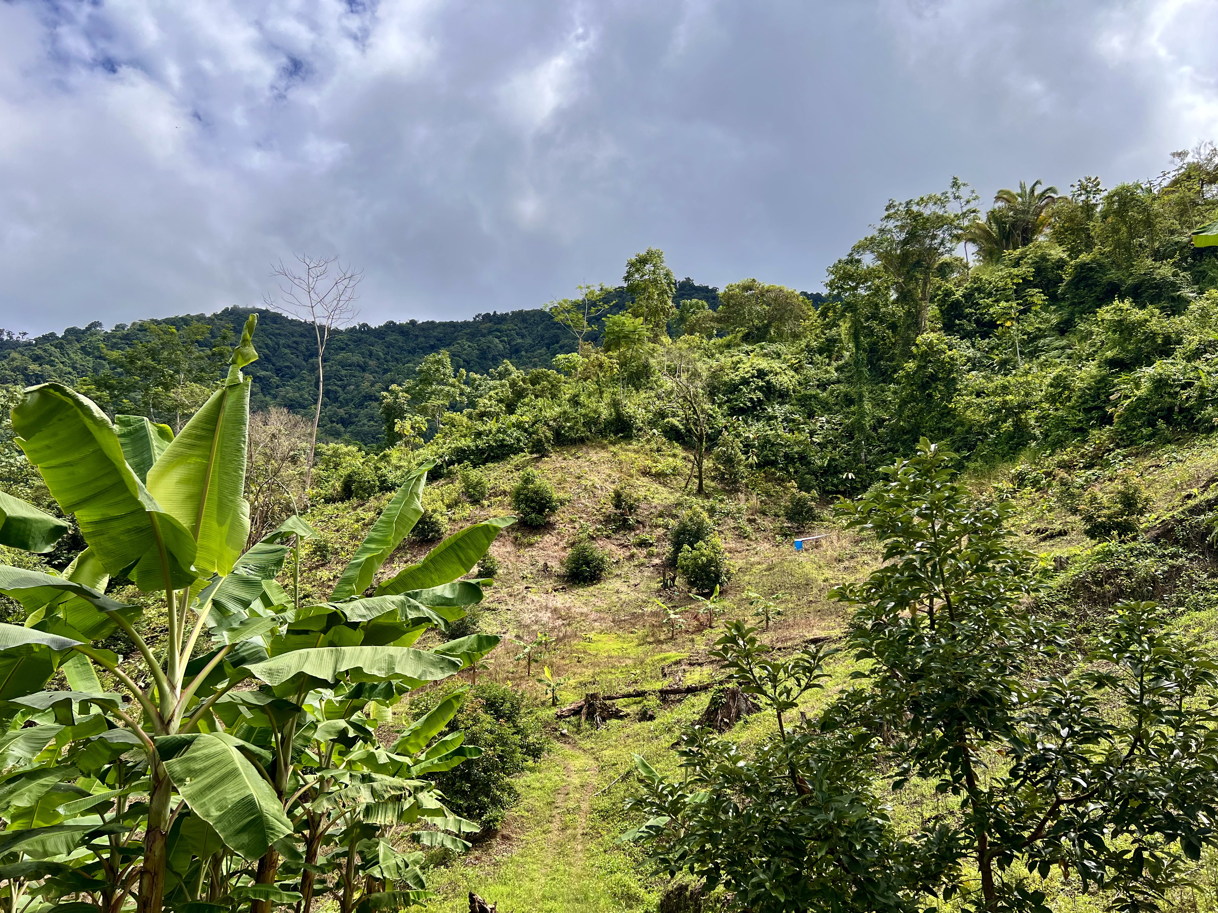 0 bed Land For Sale in Ciudad Cortes, Puntarenas - thumb 13