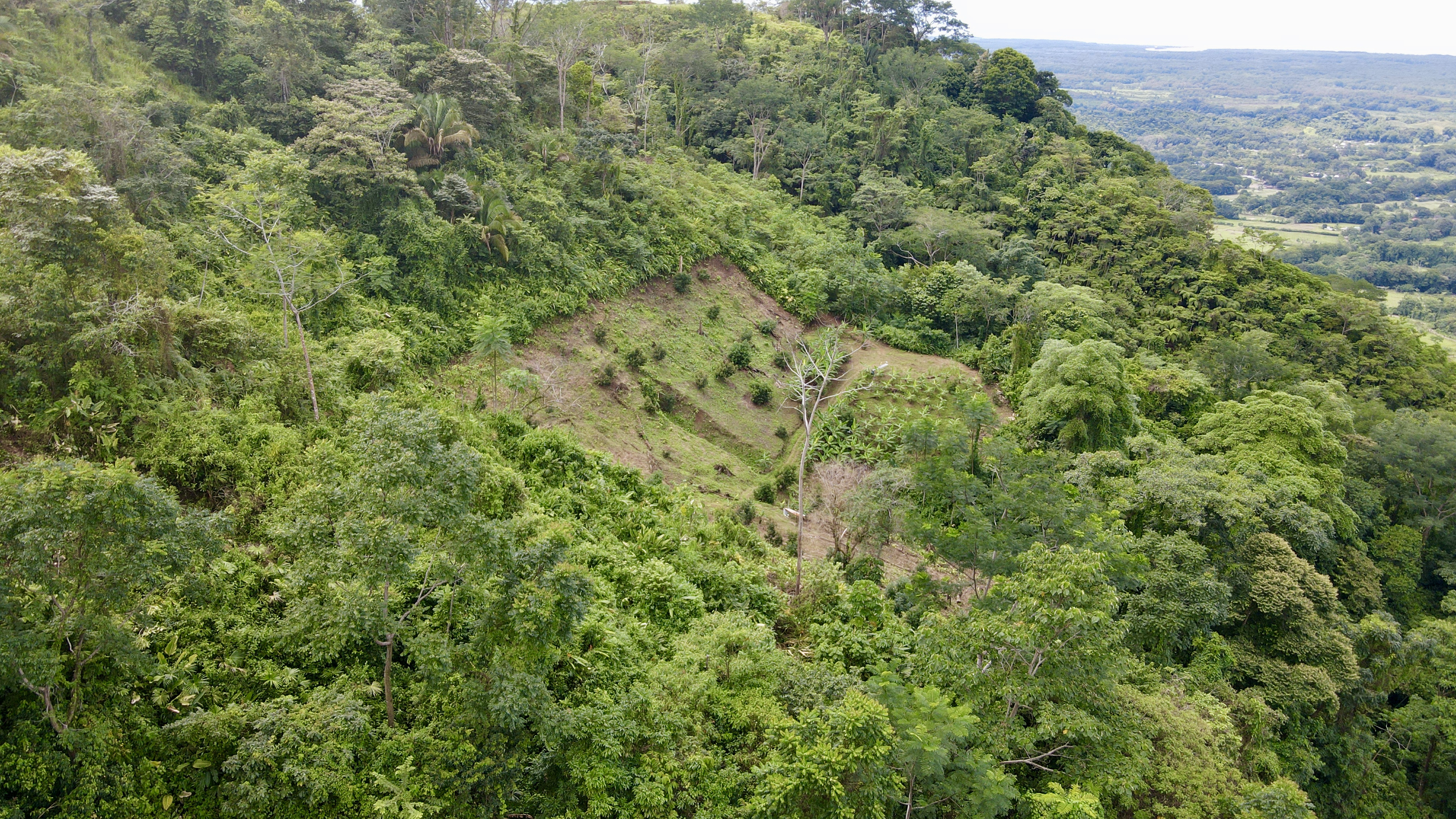 0 bed Land For Sale in Ciudad Cortes, Puntarenas - thumb 22