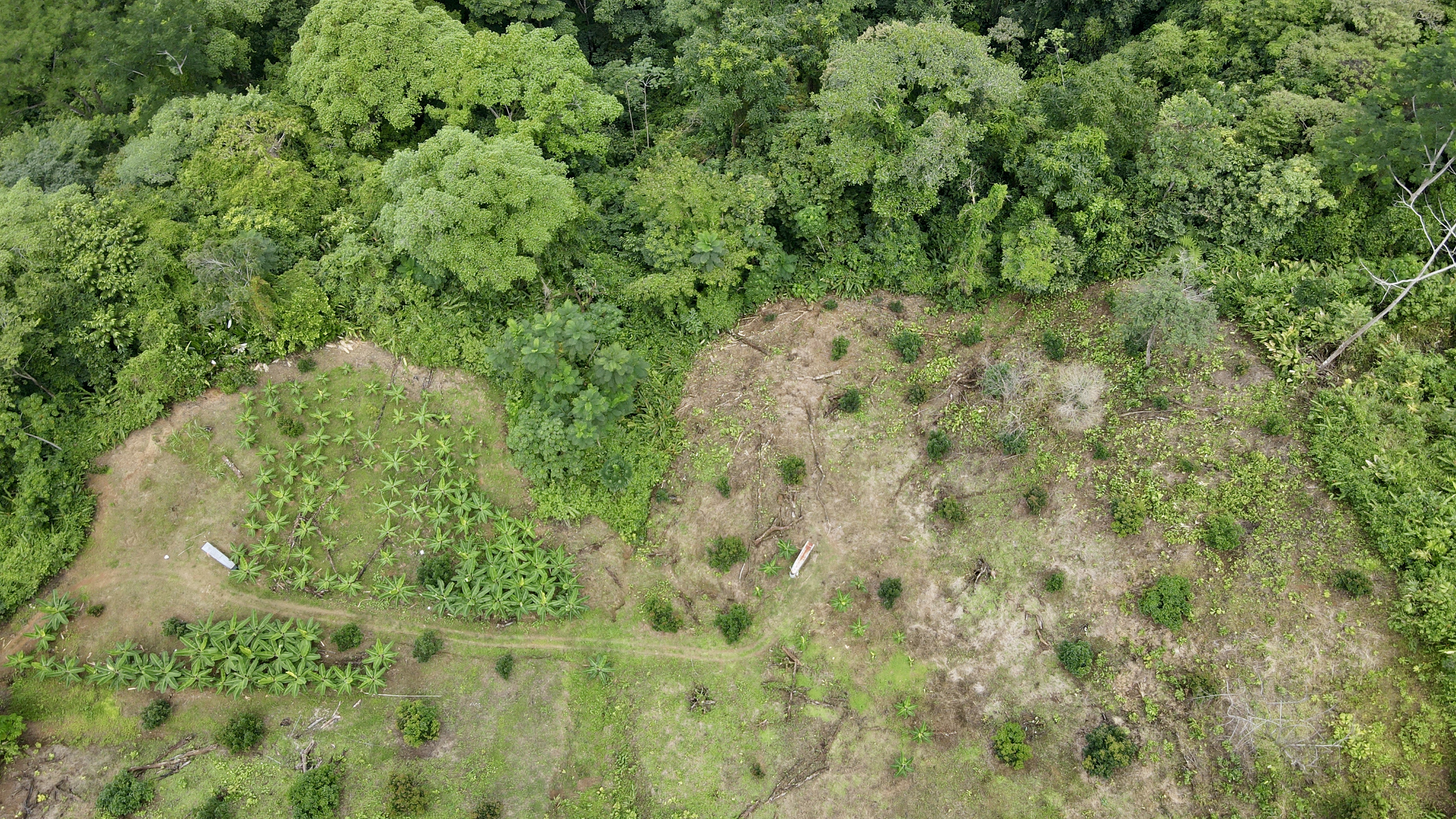 0 bed Land For Sale in Ciudad Cortes, Puntarenas - thumb 21