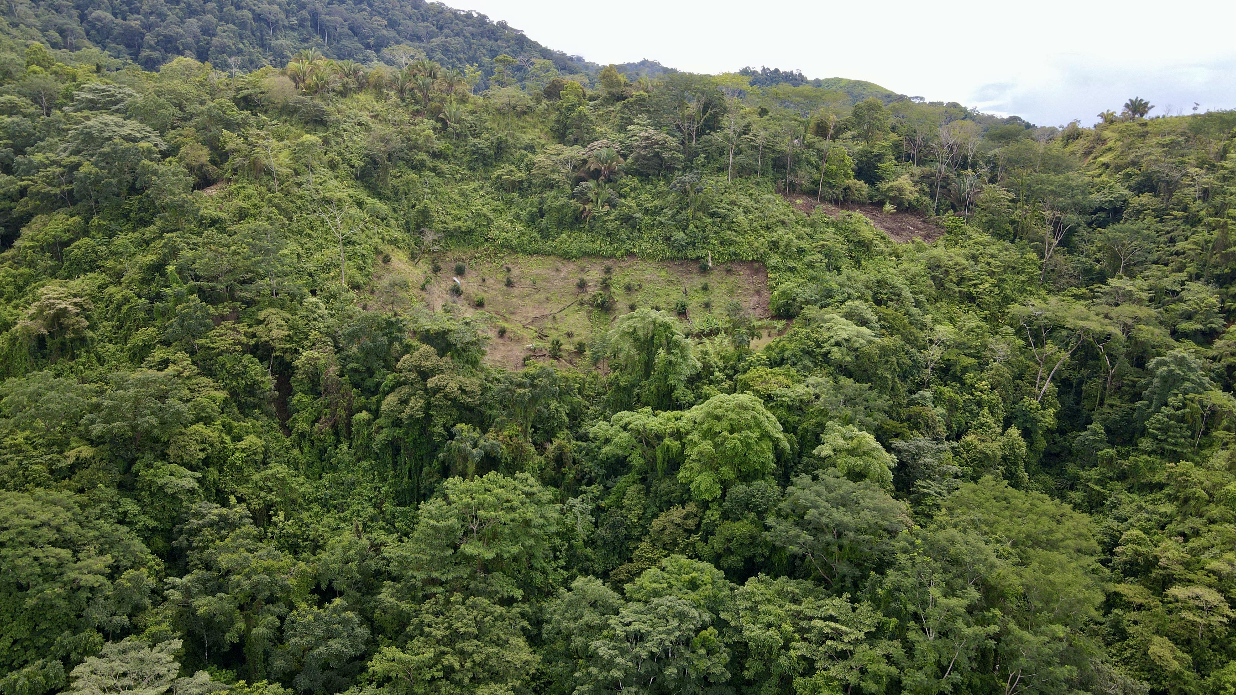 0 bed Land For Sale in Ciudad Cortes, Puntarenas - thumb 17