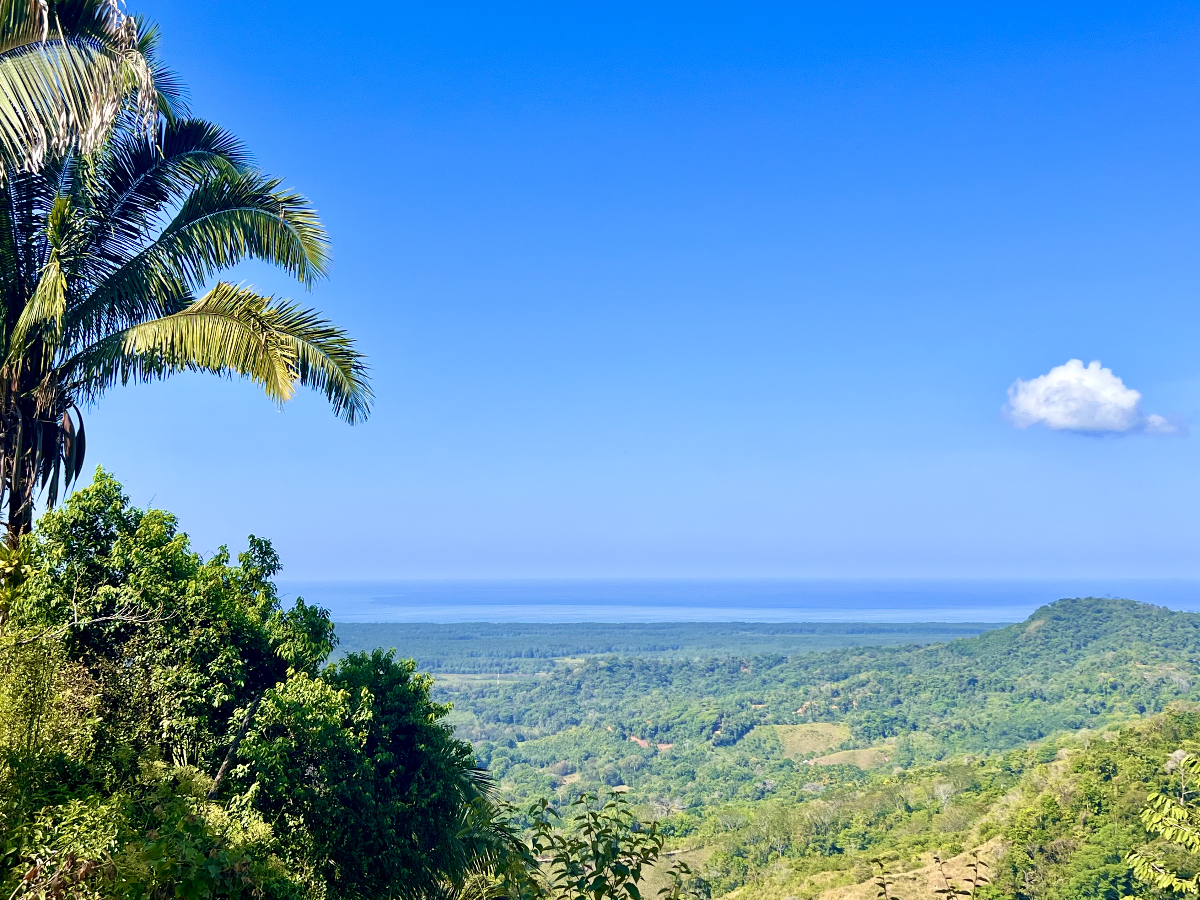 0 bed Land For Sale in Ciudad Cortes, Puntarenas - thumb 1