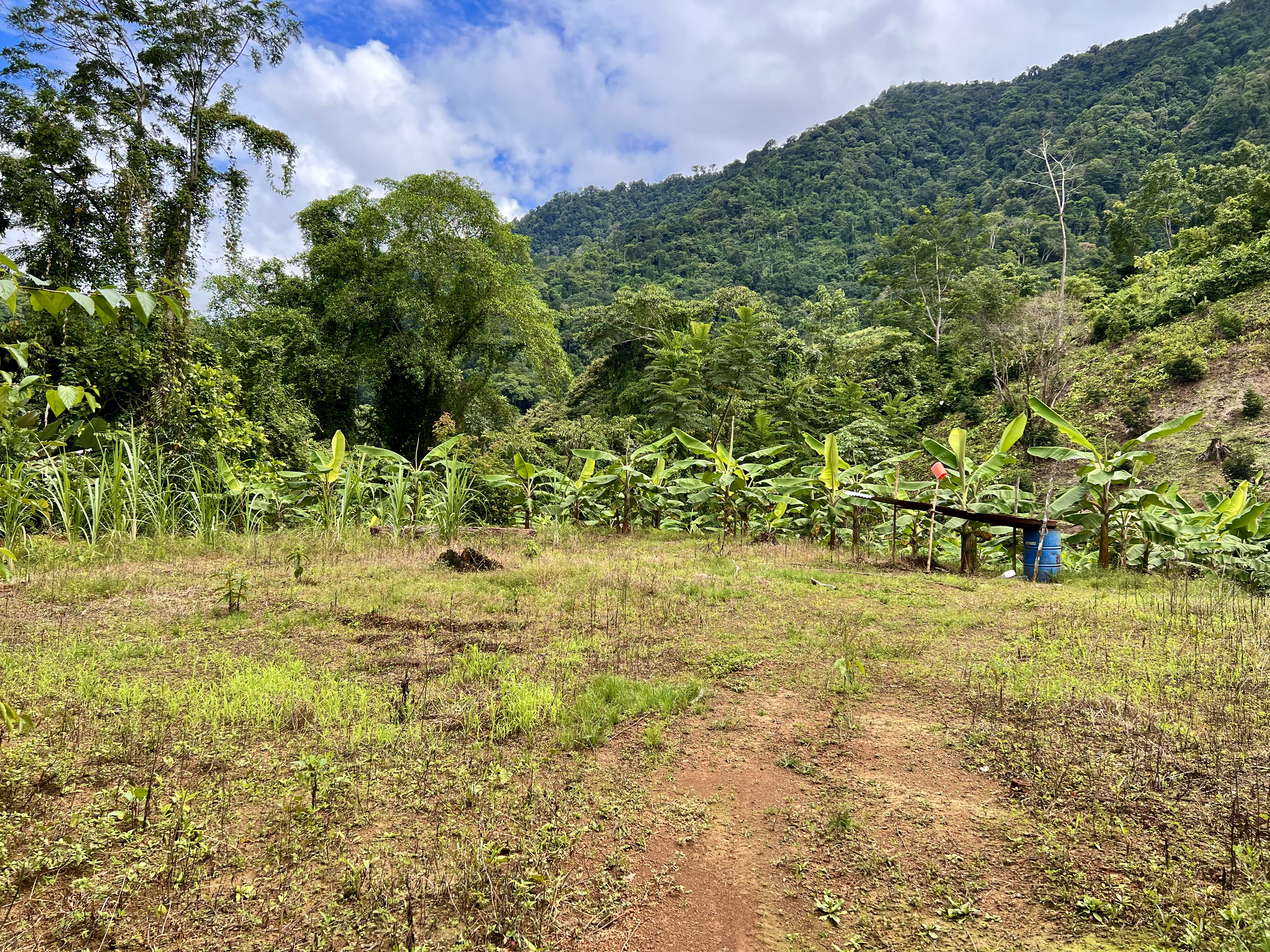 0 bed Land For Sale in Ciudad Cortes, Puntarenas - thumb 14