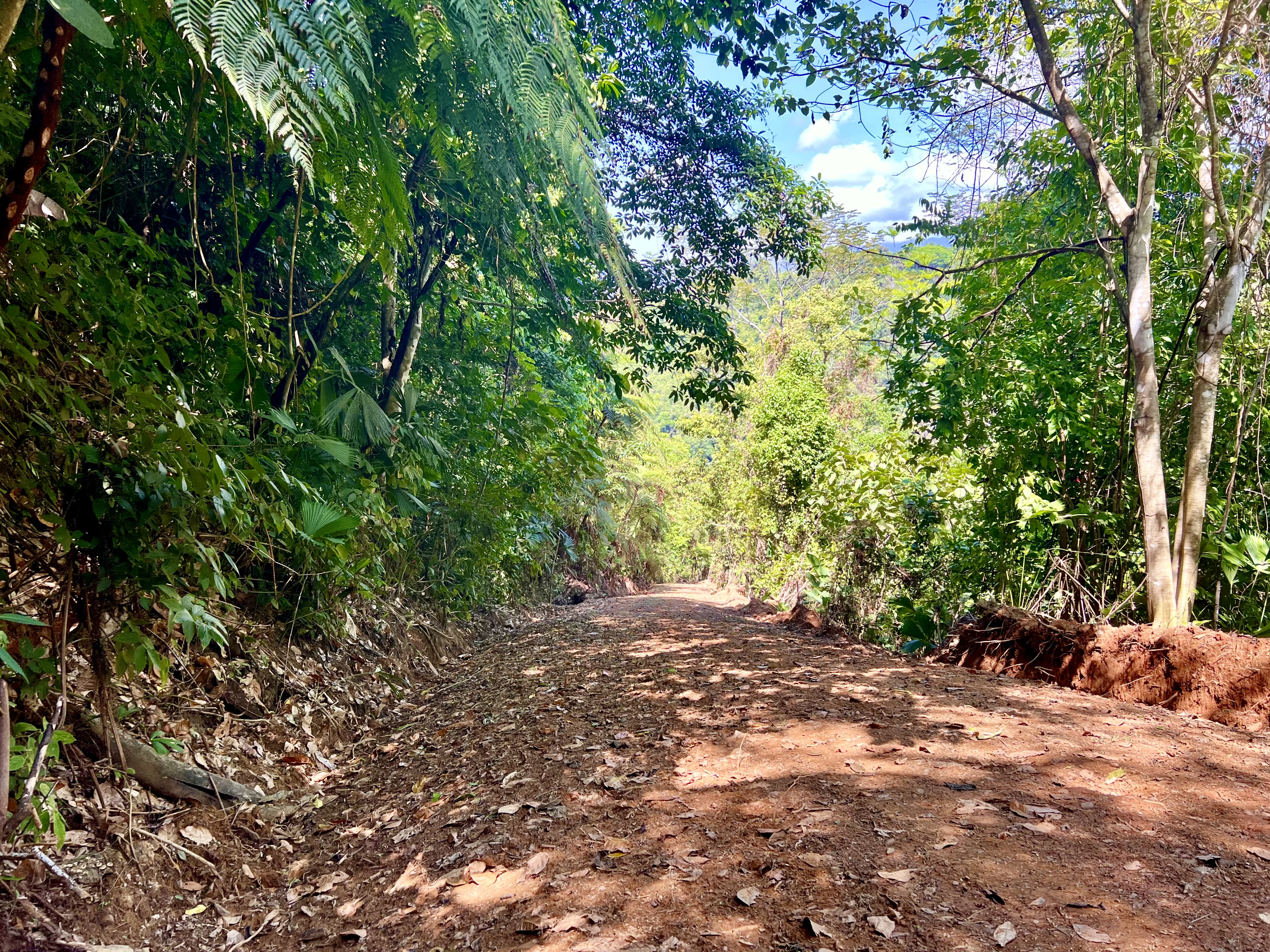 0 bed Land For Sale in Ciudad Cortes, Puntarenas - thumb 24