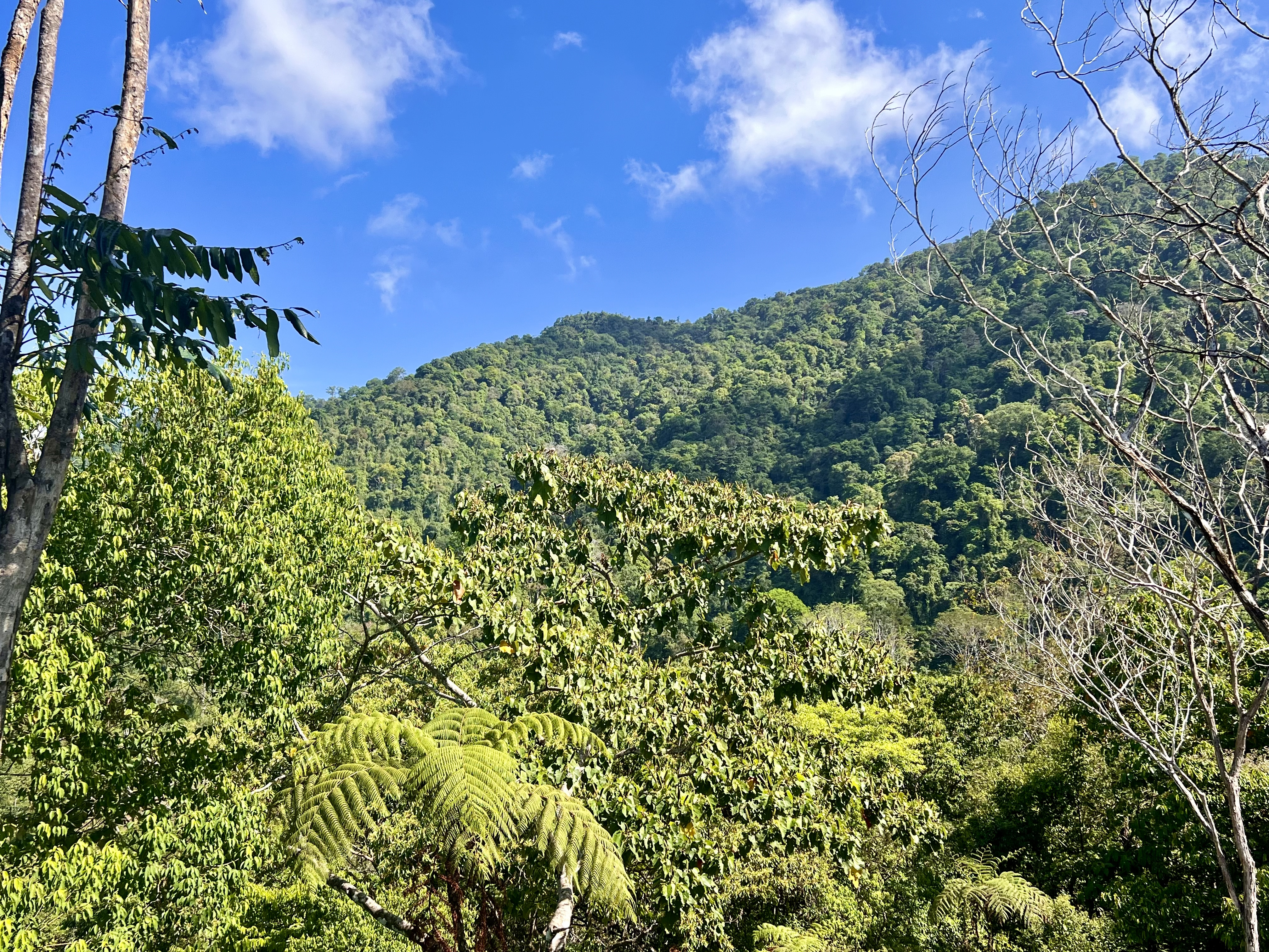 0 bed Land For Sale in Ciudad Cortes, Puntarenas - thumb 4