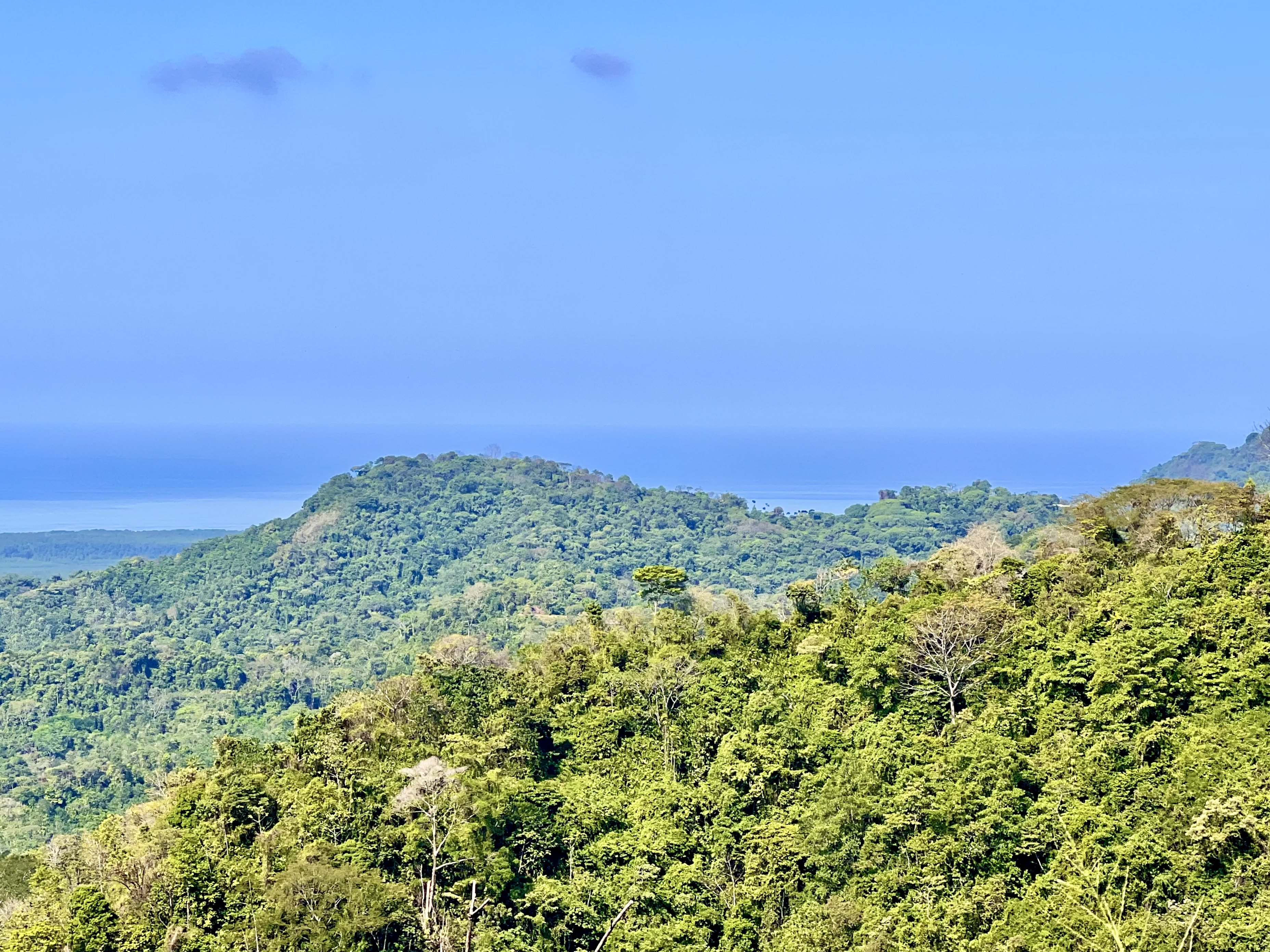 0 bed Land For Sale in Ciudad Cortes, Puntarenas - thumb 3