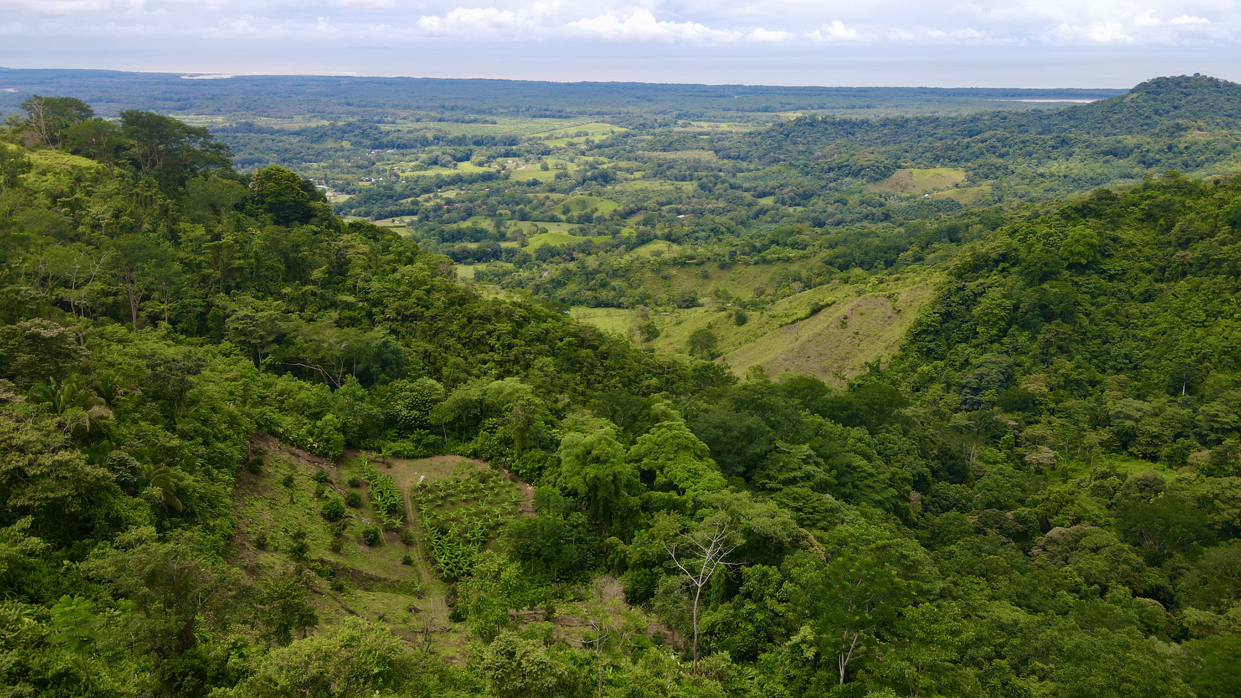 0 bed Land For Sale in Ciudad Cortes, Puntarenas - thumb 19