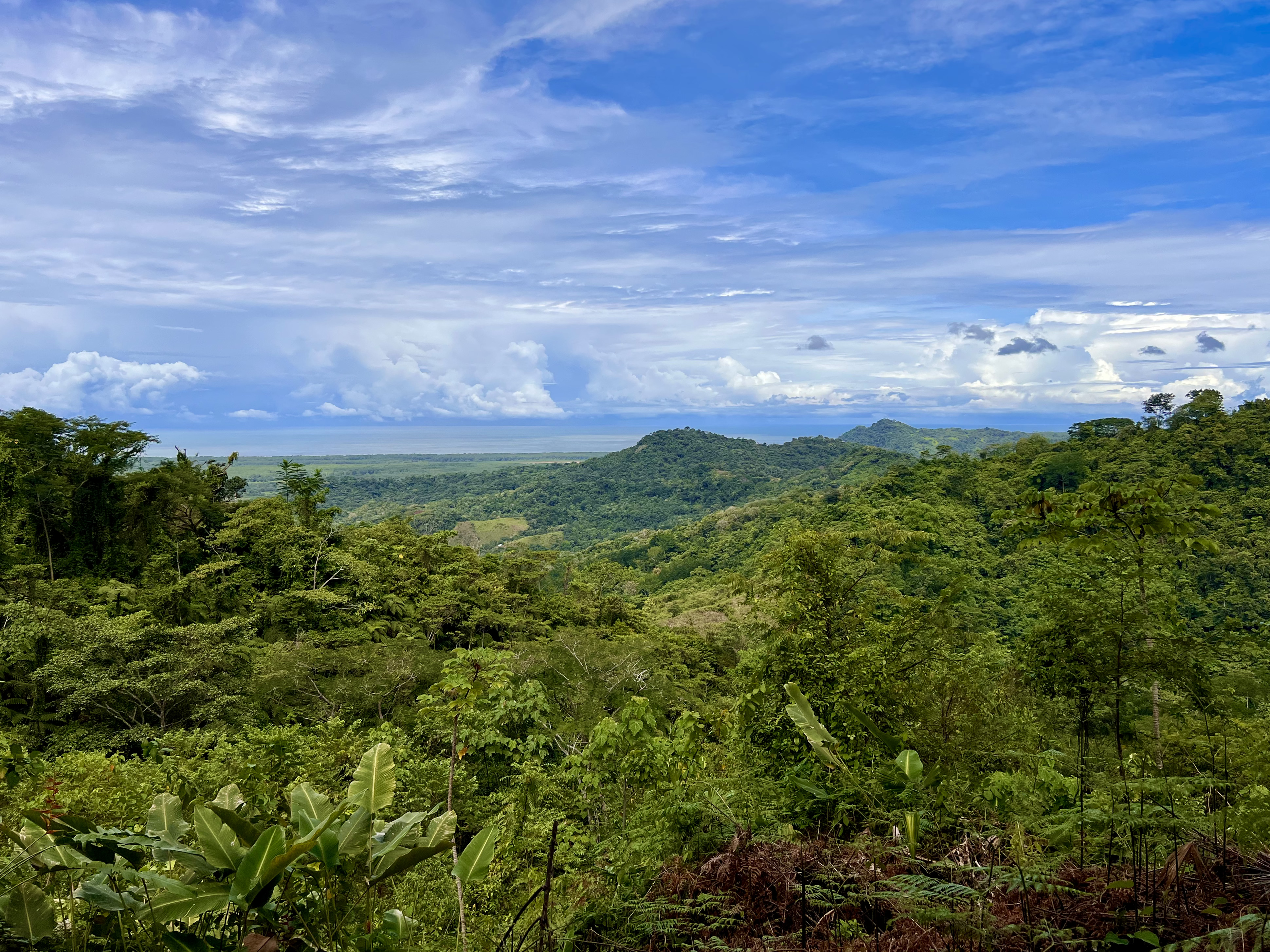 0 bed Land For Sale in Ciudad Cortes, Puntarenas - thumb 6