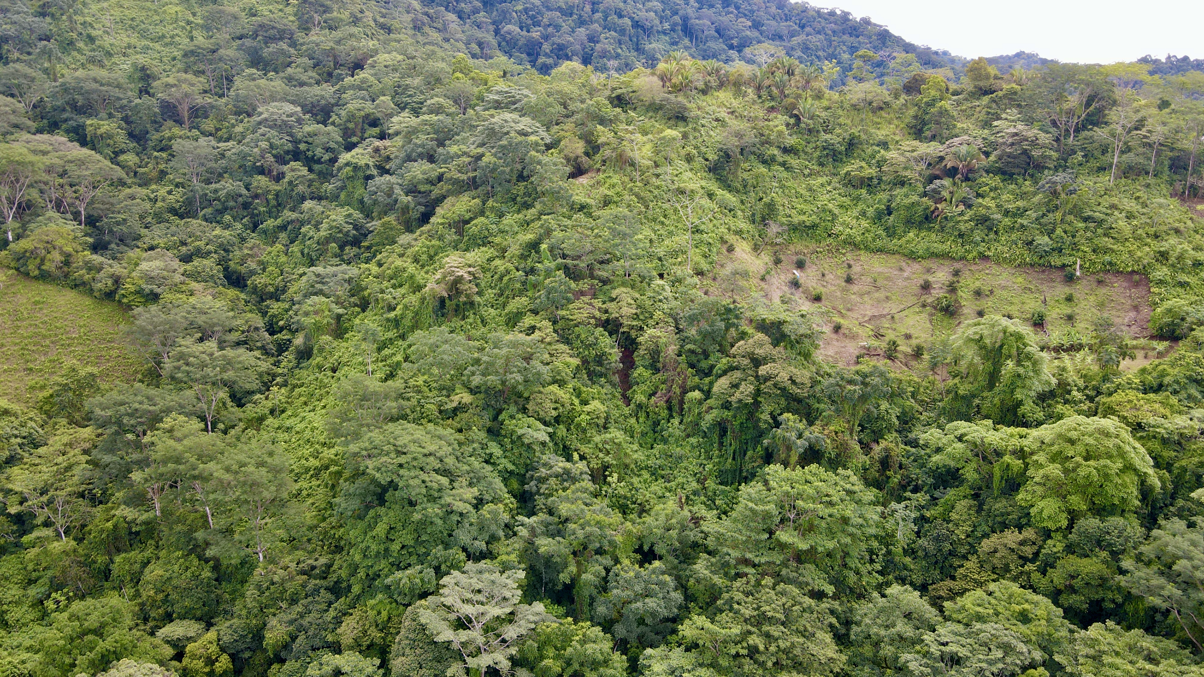 0 bed Land For Sale in Ciudad Cortes, Puntarenas - thumb 18