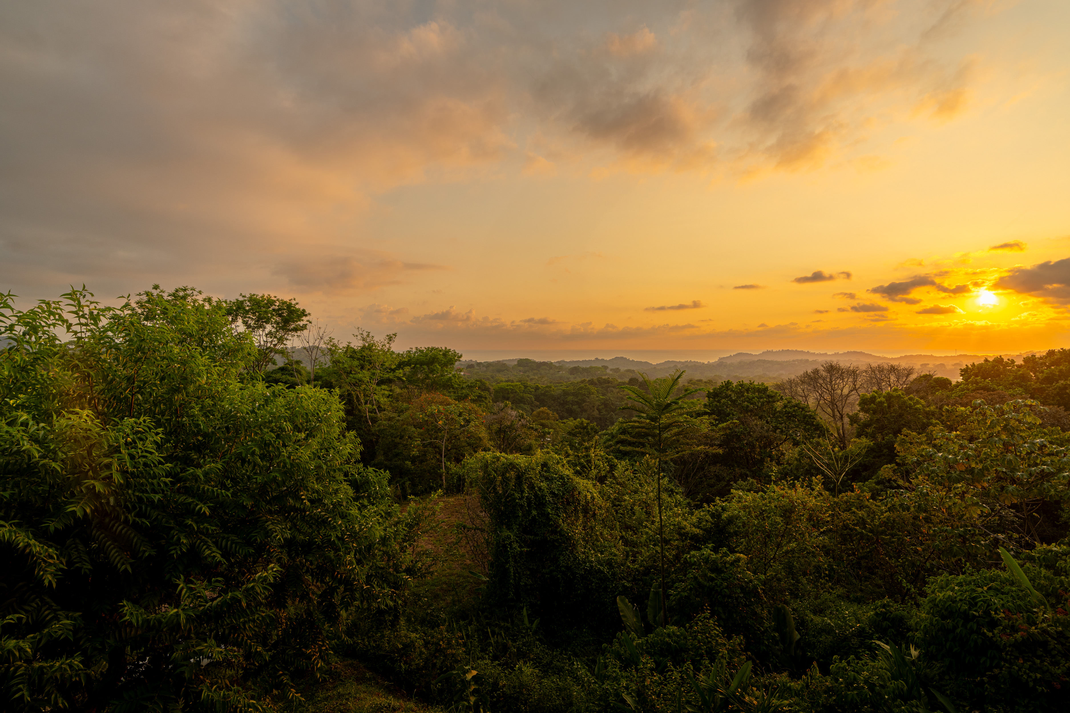 3 bed Single Family Homes For Sale in Ojochal, Puntarenas - thumb 24