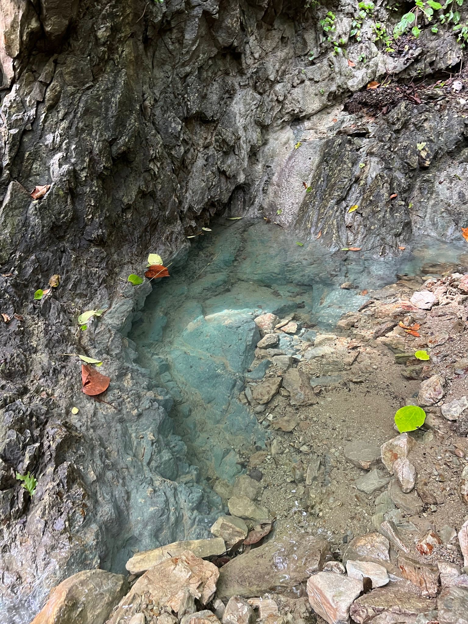 1 bed Single Family Homes For Sale in Santiago, Puntarenas - thumb 20