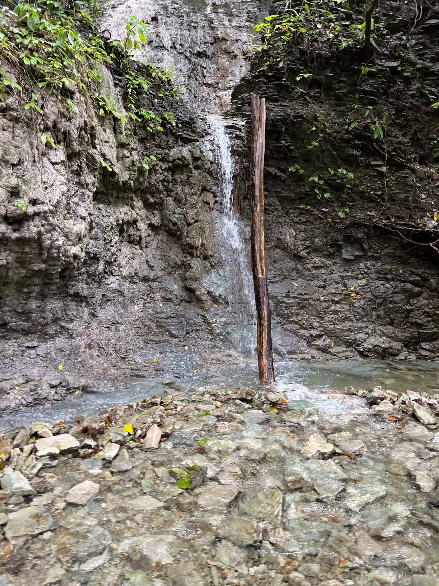 1 bed Single Family Homes For Sale in Santiago, Puntarenas - thumb 19