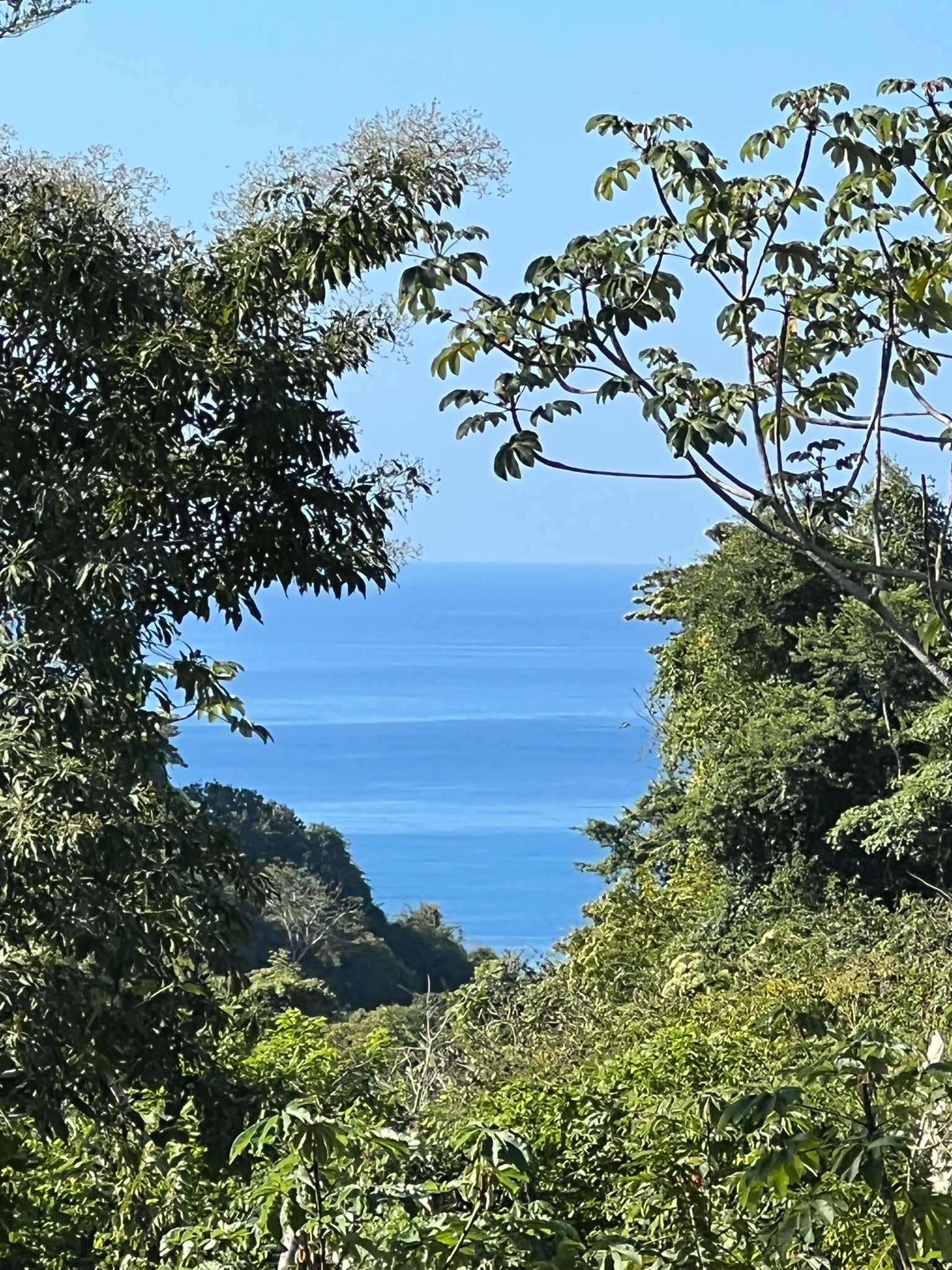 1 bed Single Family Homes For Sale in Santiago, Puntarenas - thumb 17