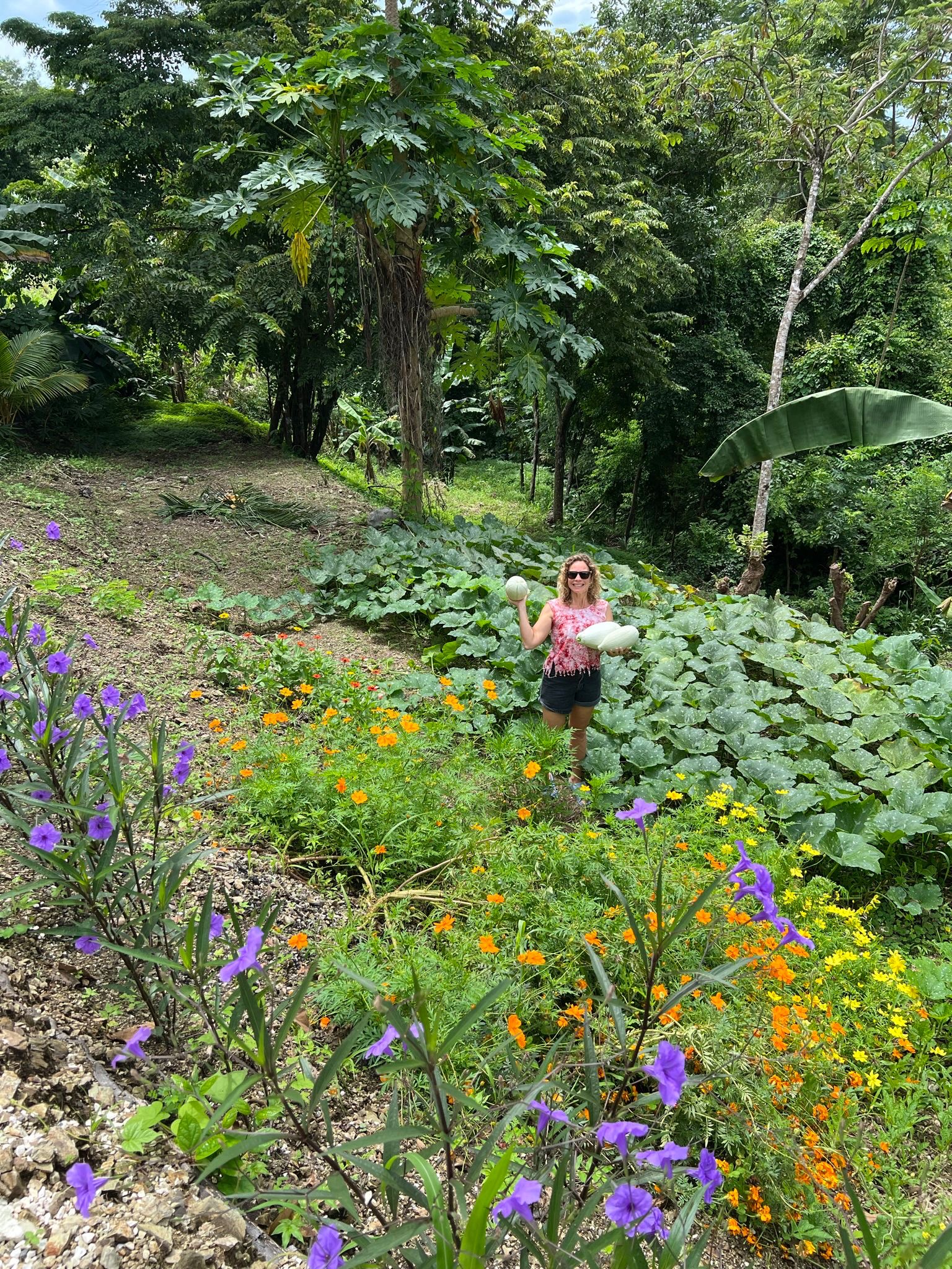 1 bed Single Family Homes For Sale in Santiago, Puntarenas - thumb 7