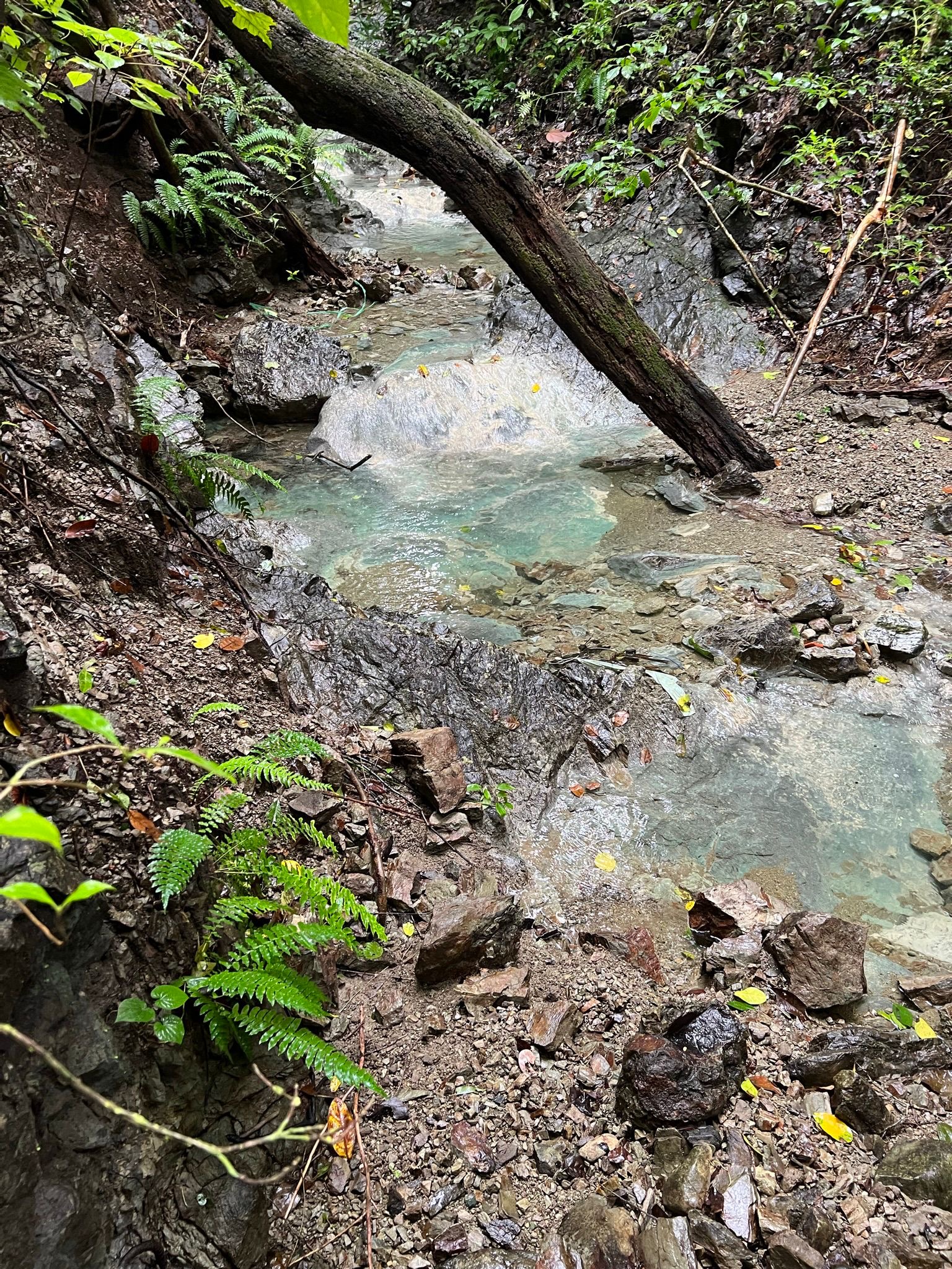 1 bed Single Family Homes For Sale in Santiago, Puntarenas - thumb 18