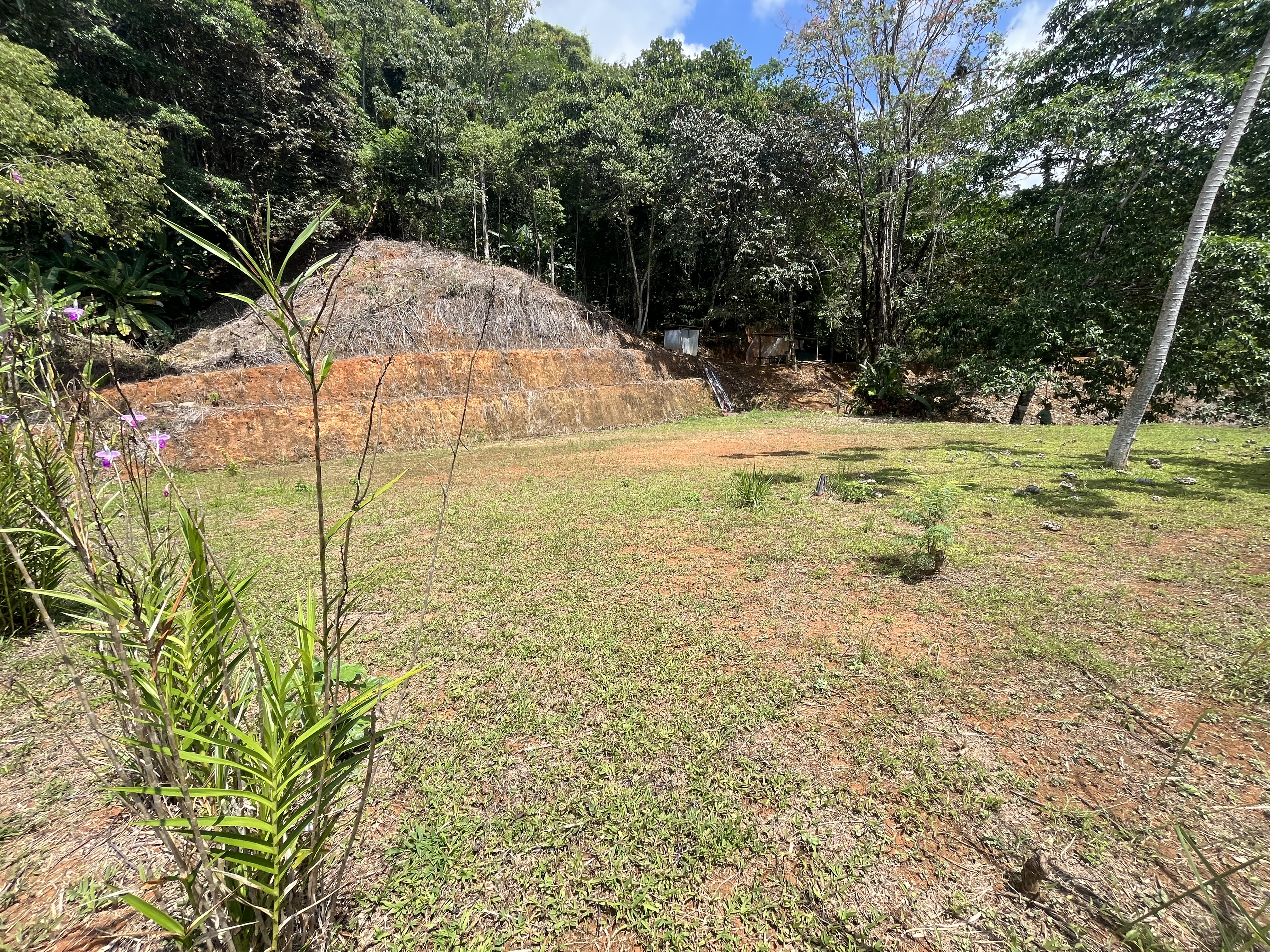 0 bed Land For Sale in Ciudad Cortes, Puntarenas - thumb 9