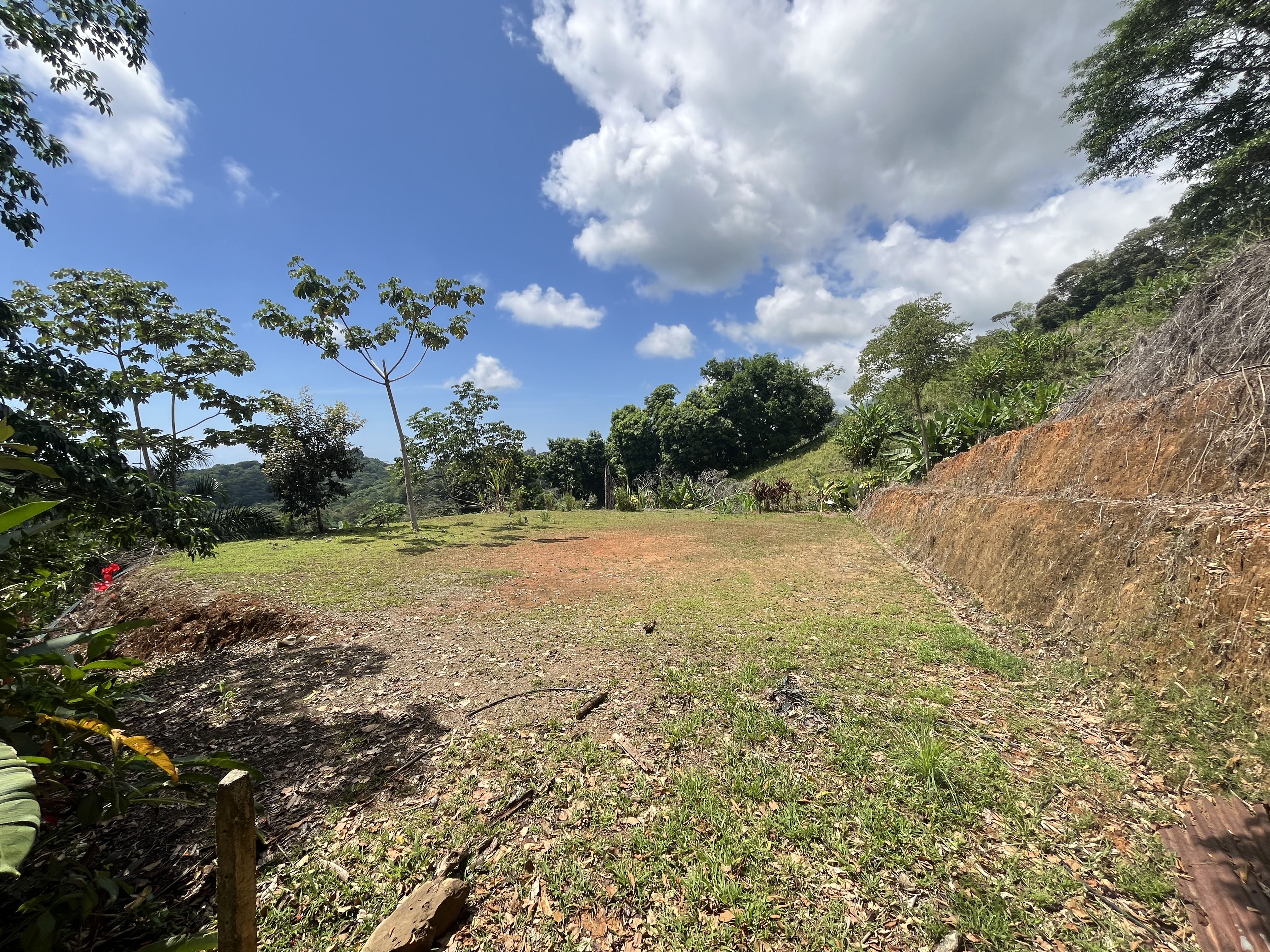 0 bed Land For Sale in Ciudad Cortes, Puntarenas - thumb 10