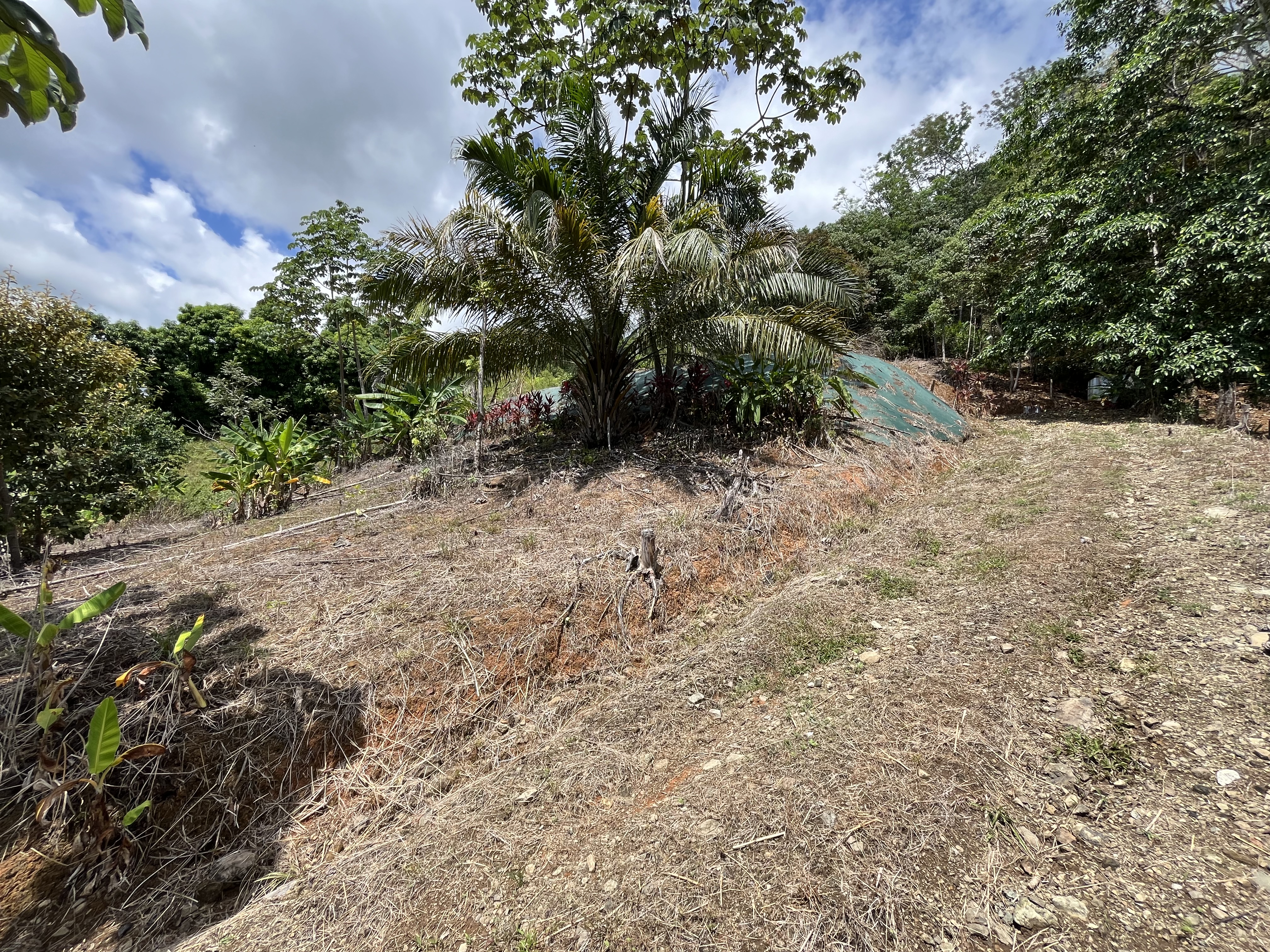 0 bed Land For Sale in Ciudad Cortes, Puntarenas - thumb 12