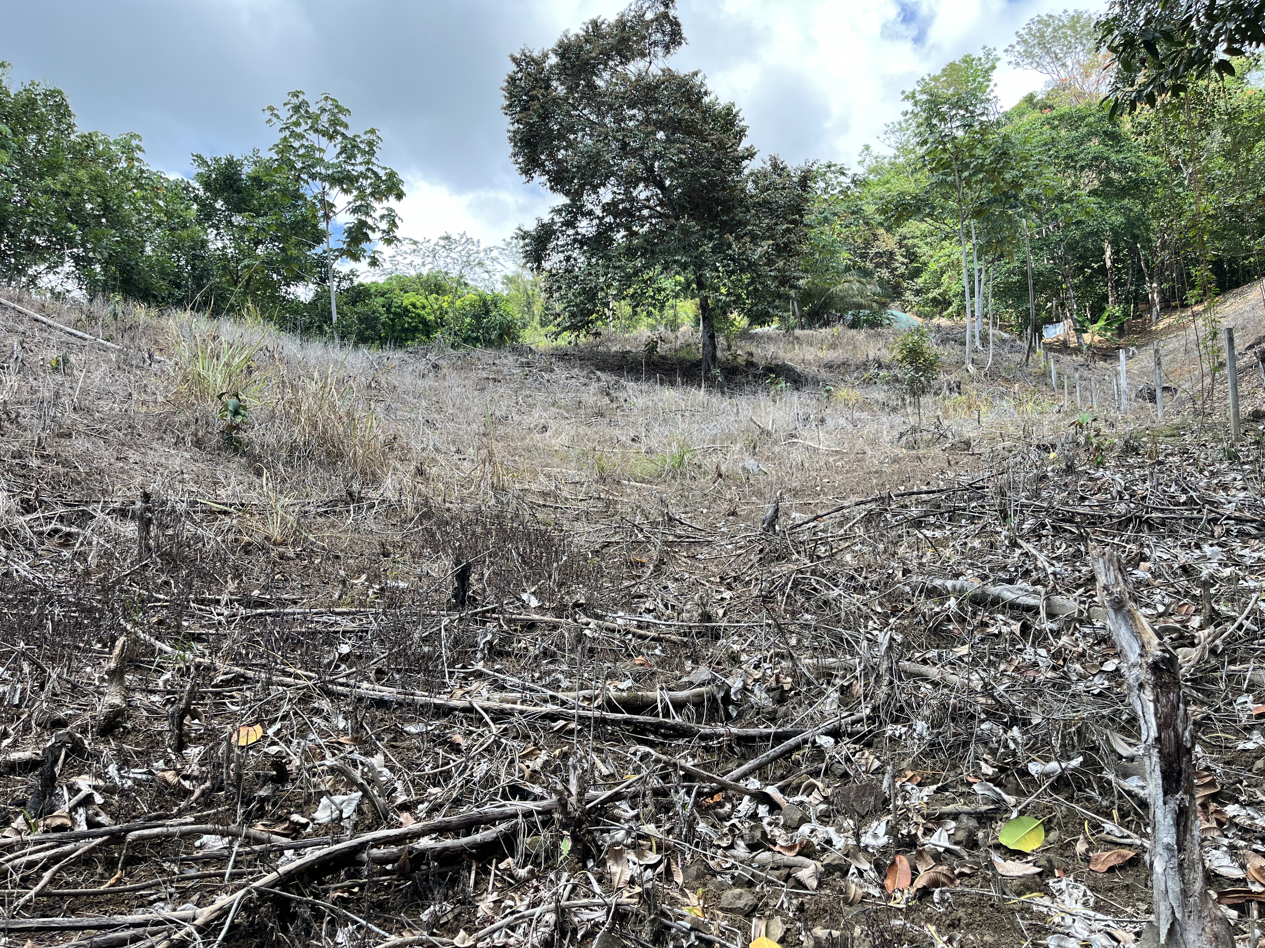 0 bed Land For Sale in Ciudad Cortes, Puntarenas - thumb 17