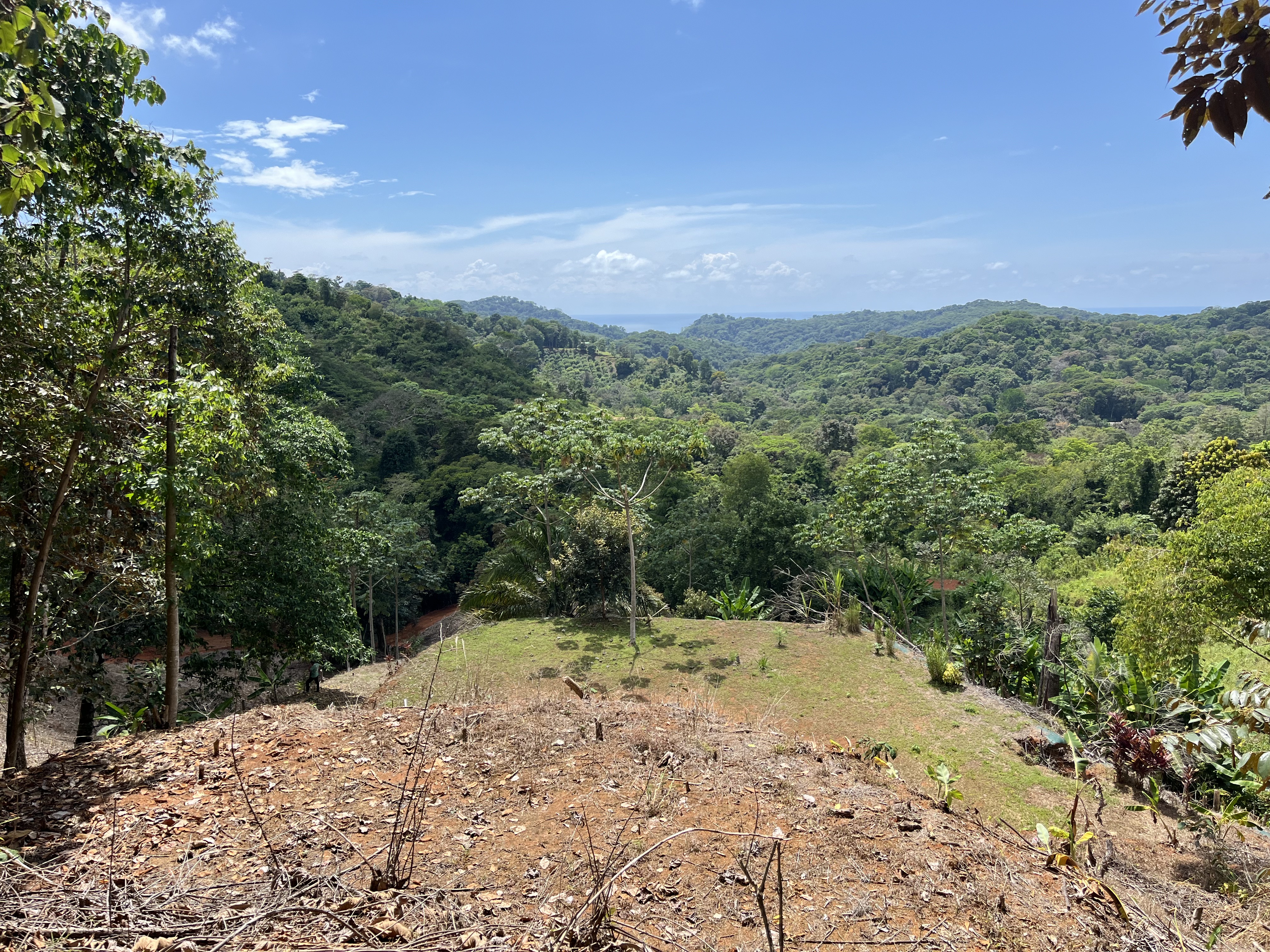 0 bed Land For Sale in Ciudad Cortes, Puntarenas - thumb 1