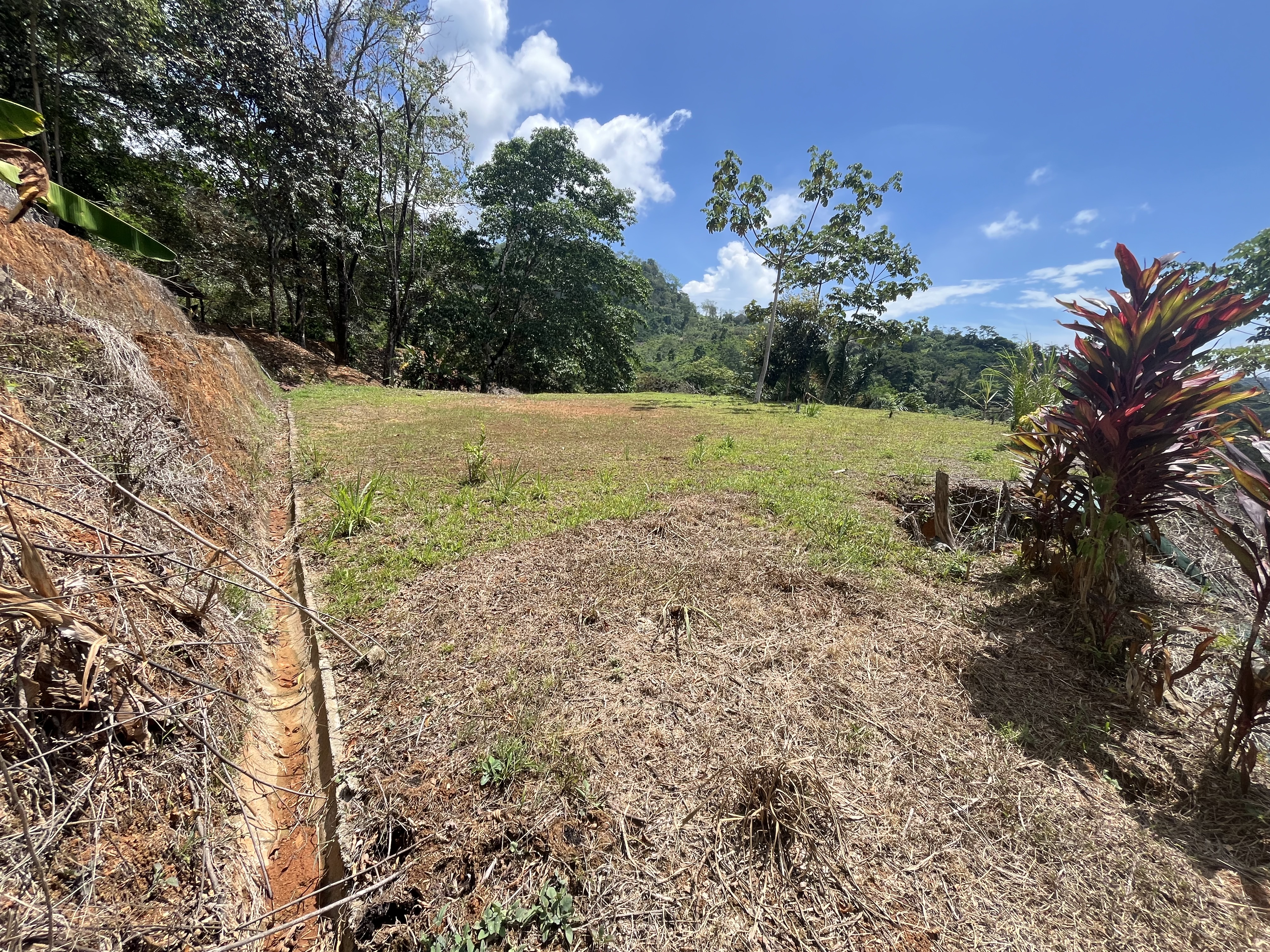 0 bed Land For Sale in Ciudad Cortes, Puntarenas - thumb 5