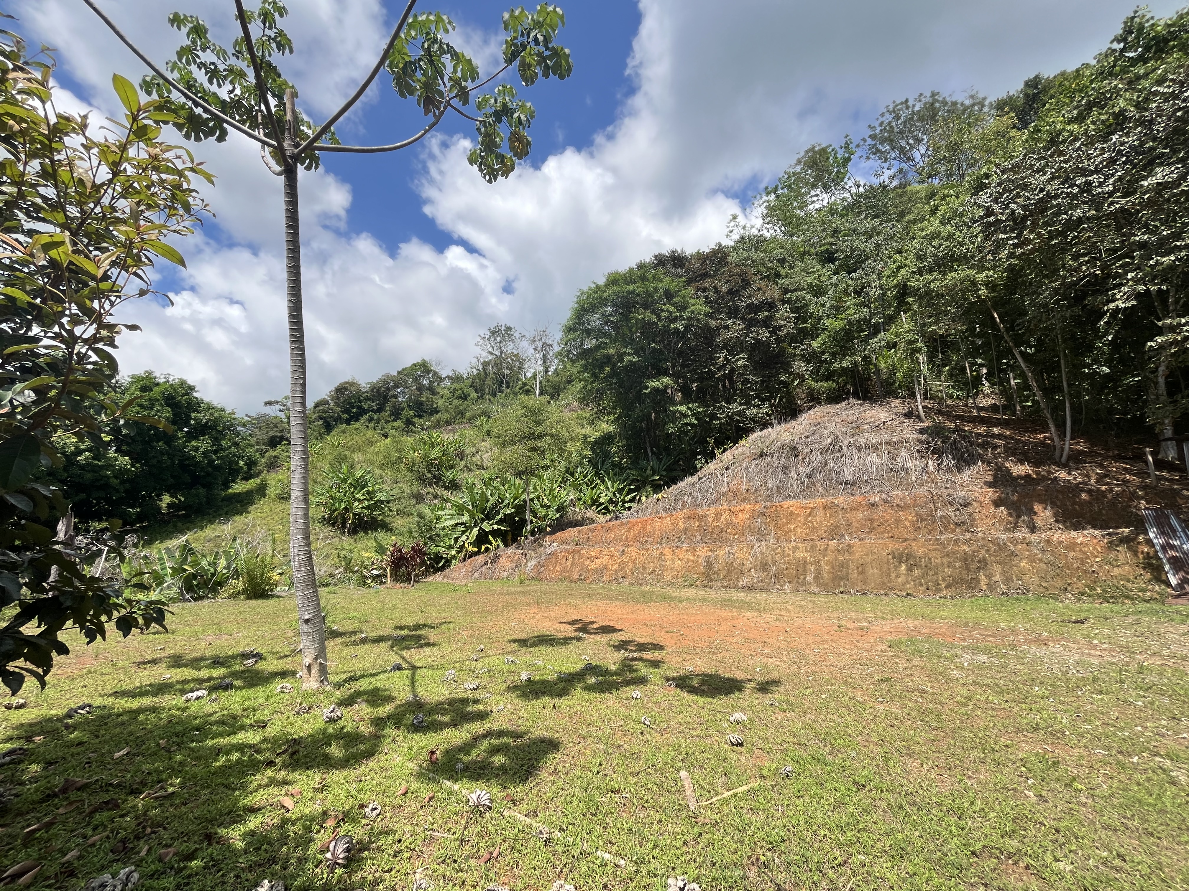 0 bed Land For Sale in Ciudad Cortes, Puntarenas - thumb 4