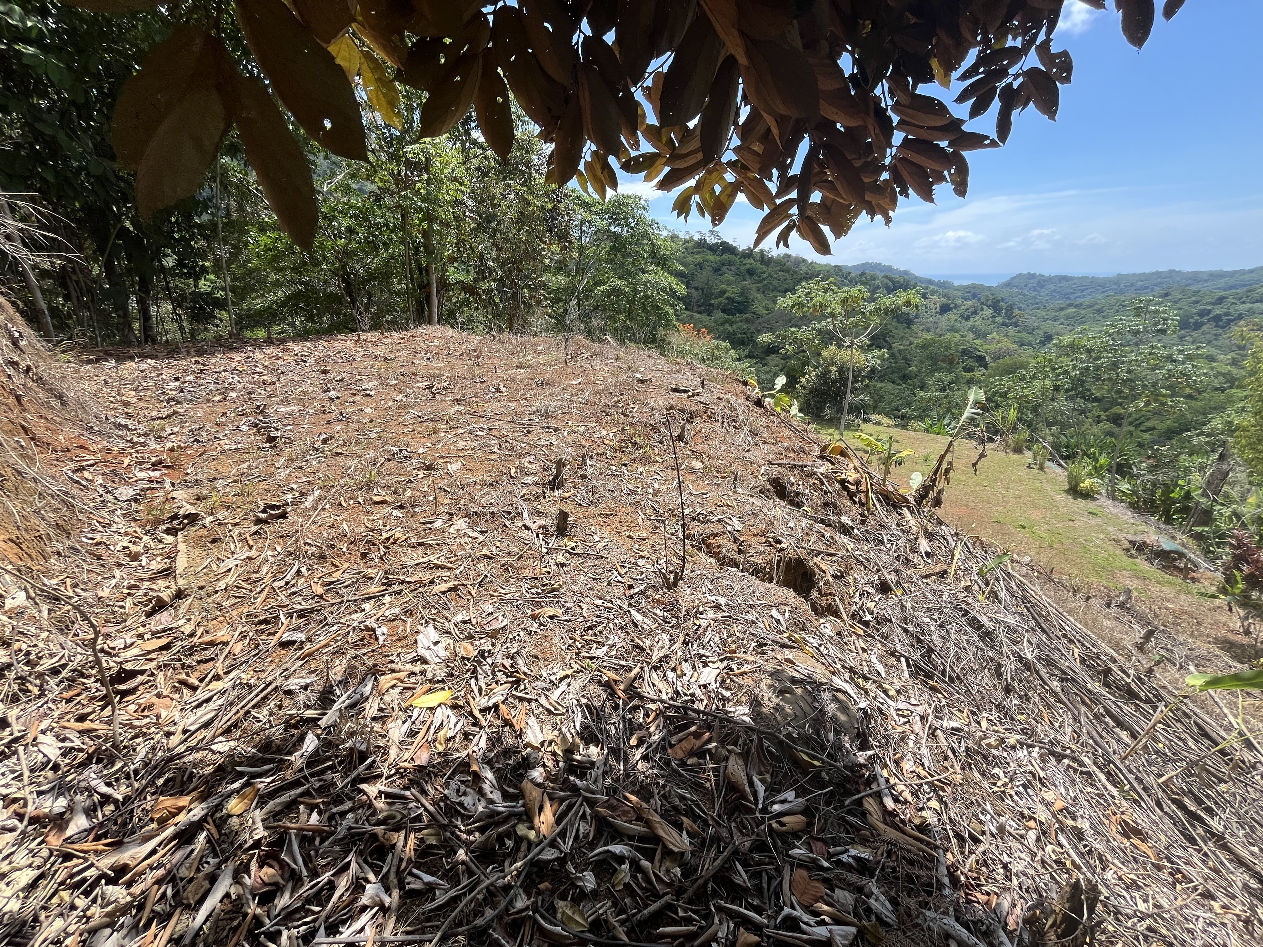 0 bed Land For Sale in Ciudad Cortes, Puntarenas - thumb 16