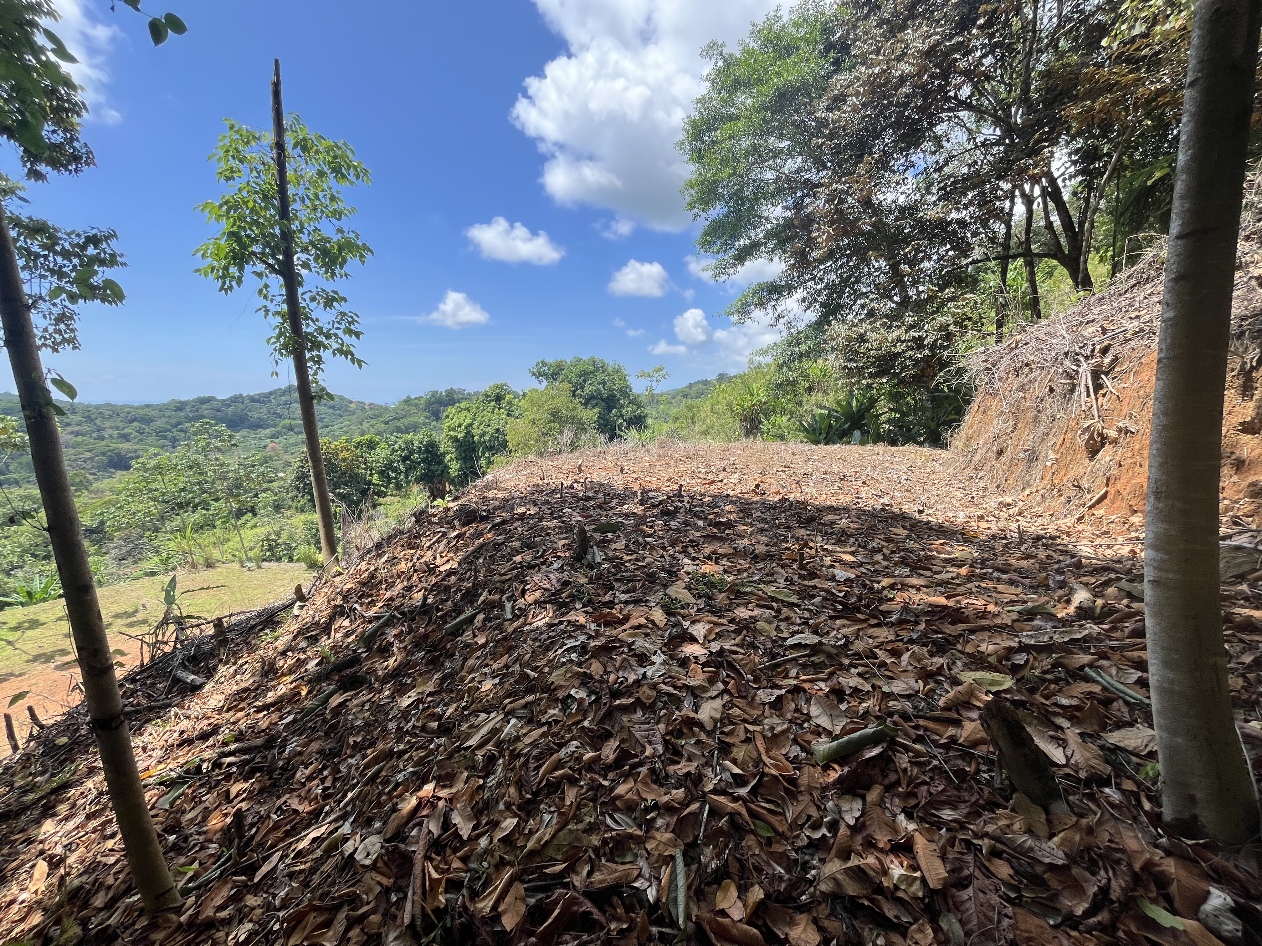 0 bed Land For Sale in Ciudad Cortes, Puntarenas - thumb 7