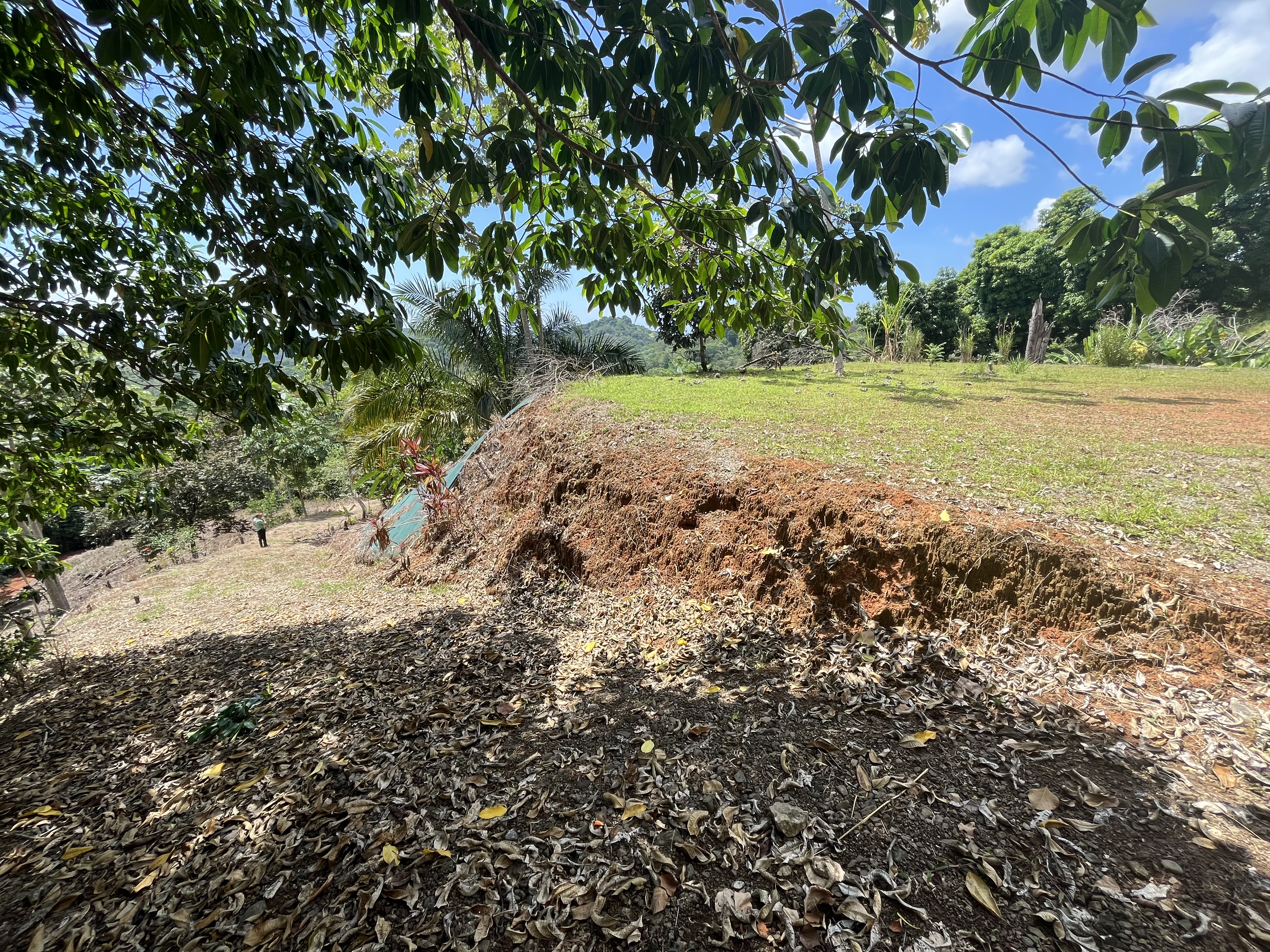0 bed Land For Sale in Ciudad Cortes, Puntarenas - thumb 11