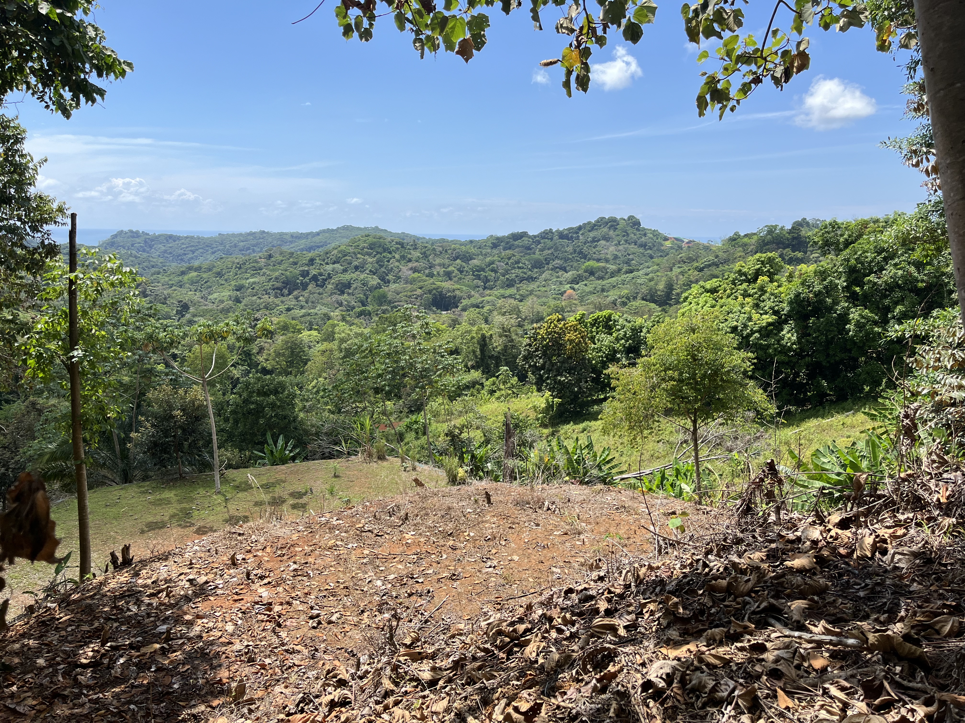 0 bed Land For Sale in Ciudad Cortes, Puntarenas - thumb 2