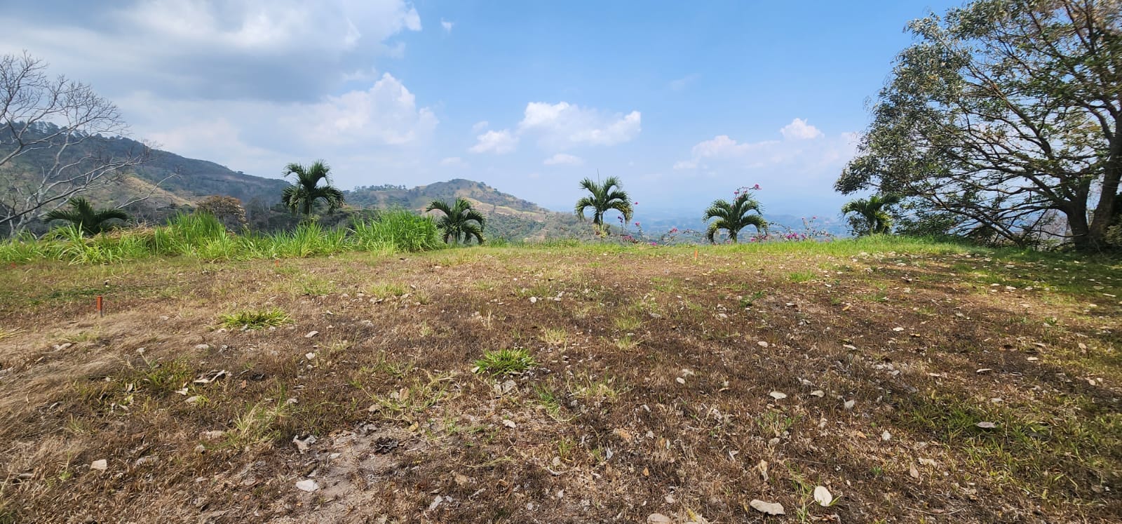 0 bed Land For Sale in Atenas, Alajuela - thumb 11