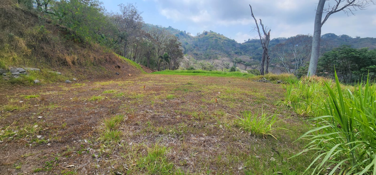 0 bed Land For Sale in Atenas, Alajuela - thumb 7