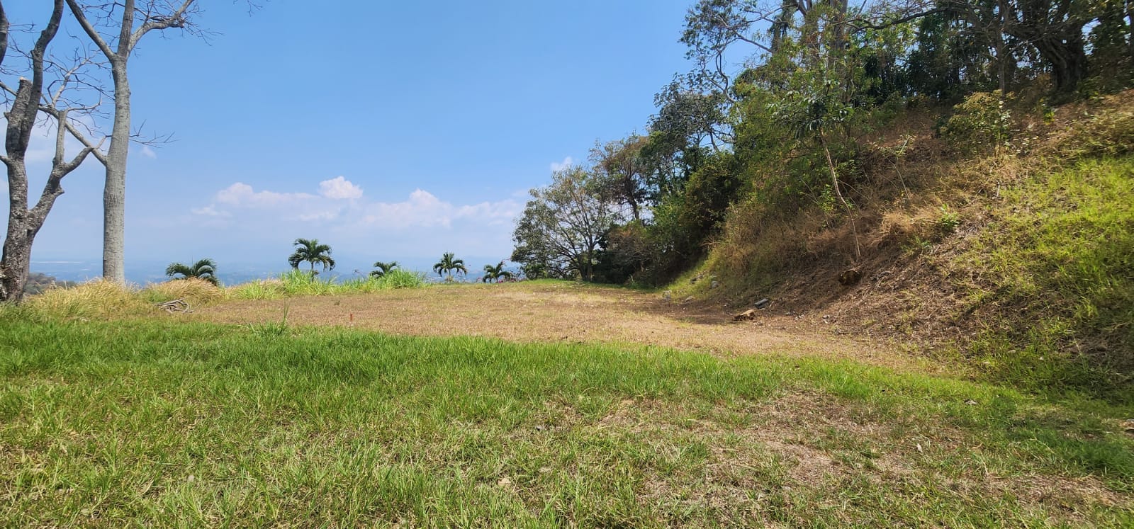 0 bed Land For Sale in Atenas, Alajuela - thumb 6