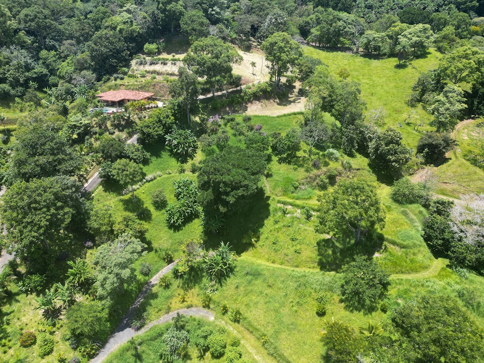 0 bed Land For Sale in Atenas, Alajuela - thumb 12