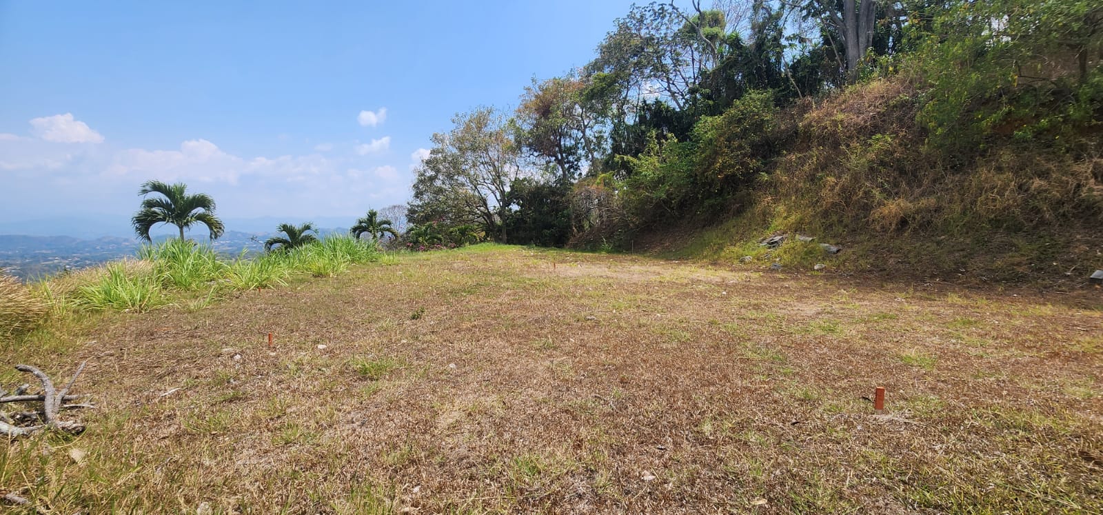 0 bed Land For Sale in Atenas, Alajuela - thumb 5